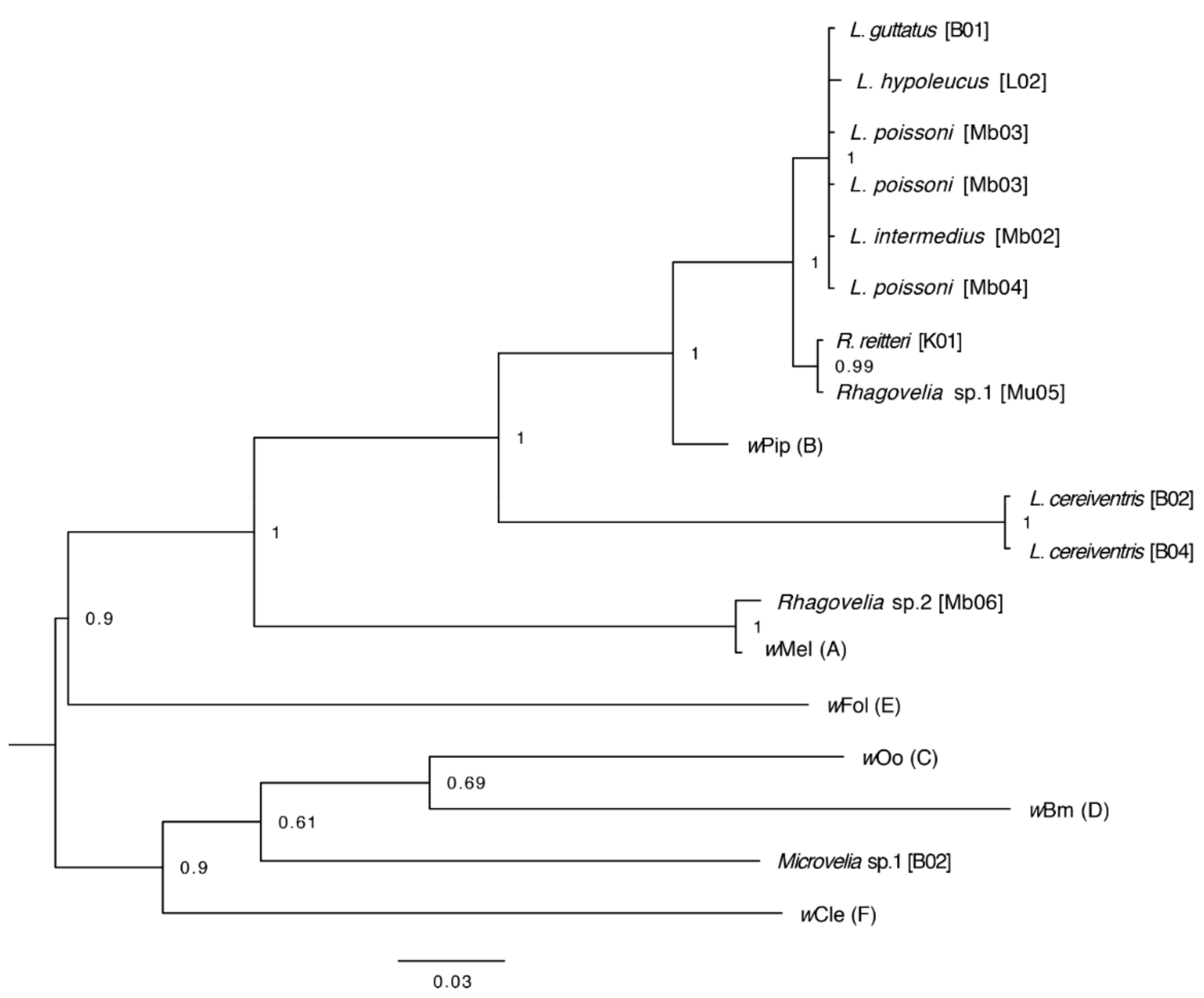 Diversity 11 00225 g005