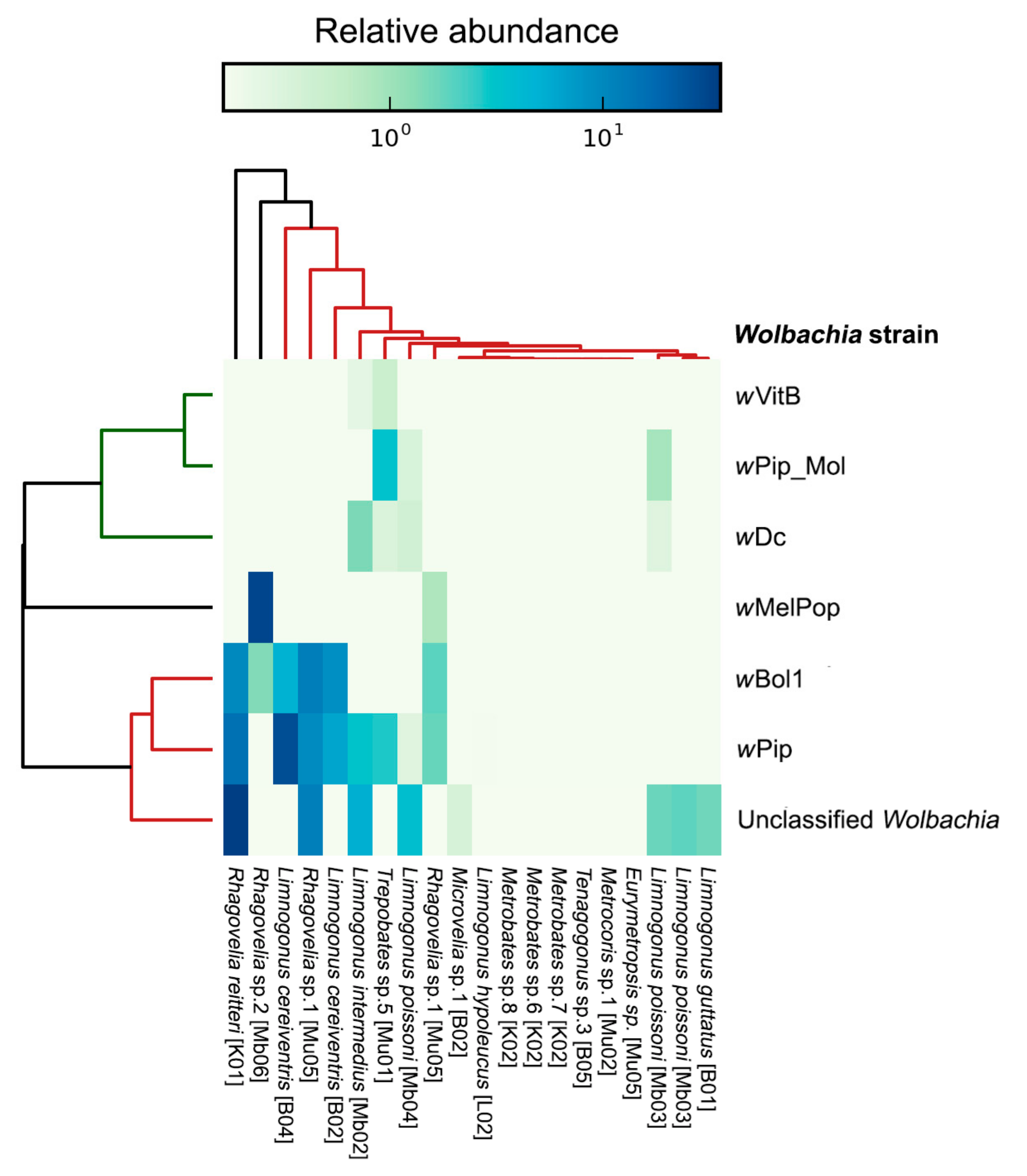 Diversity 11 00225 g006