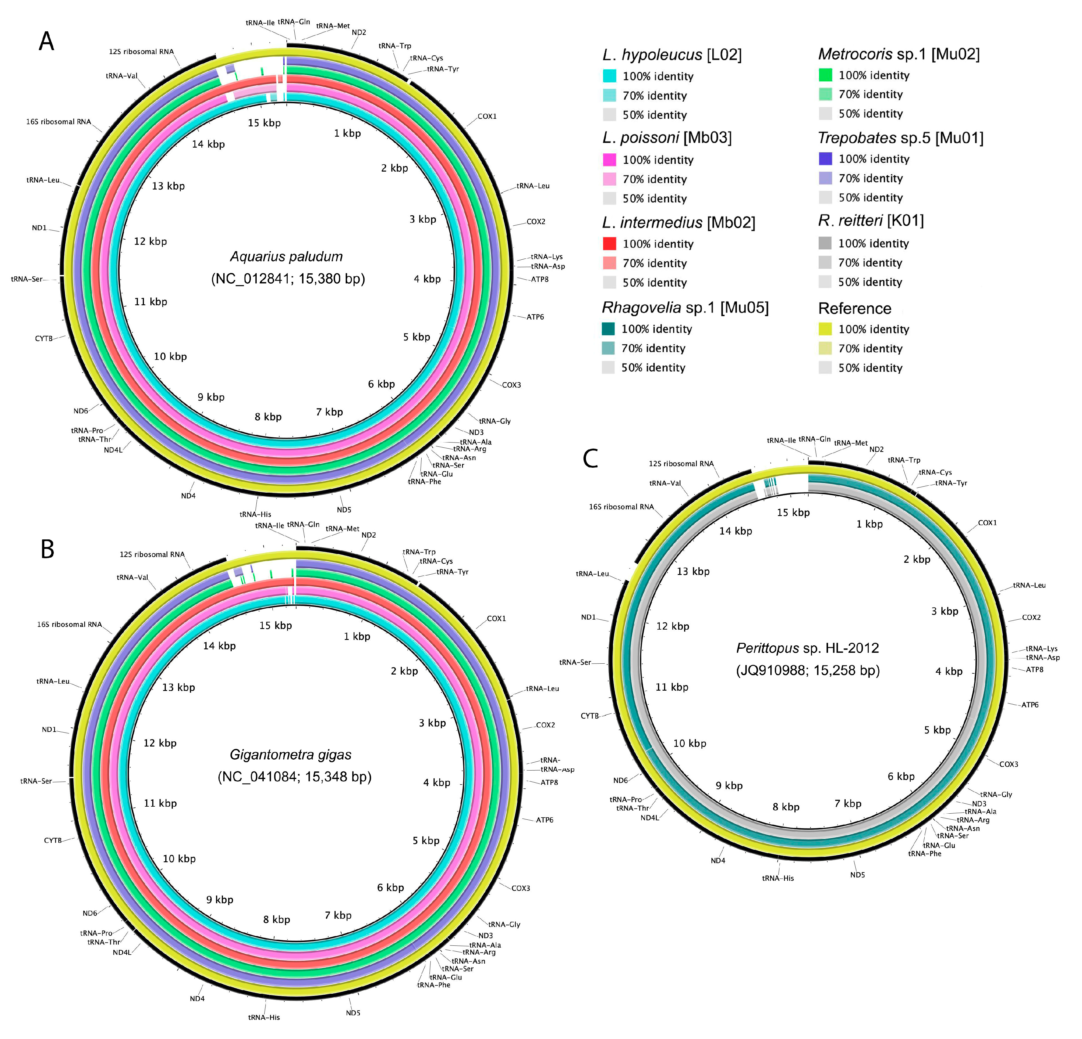 Diversity 11 00225 g007