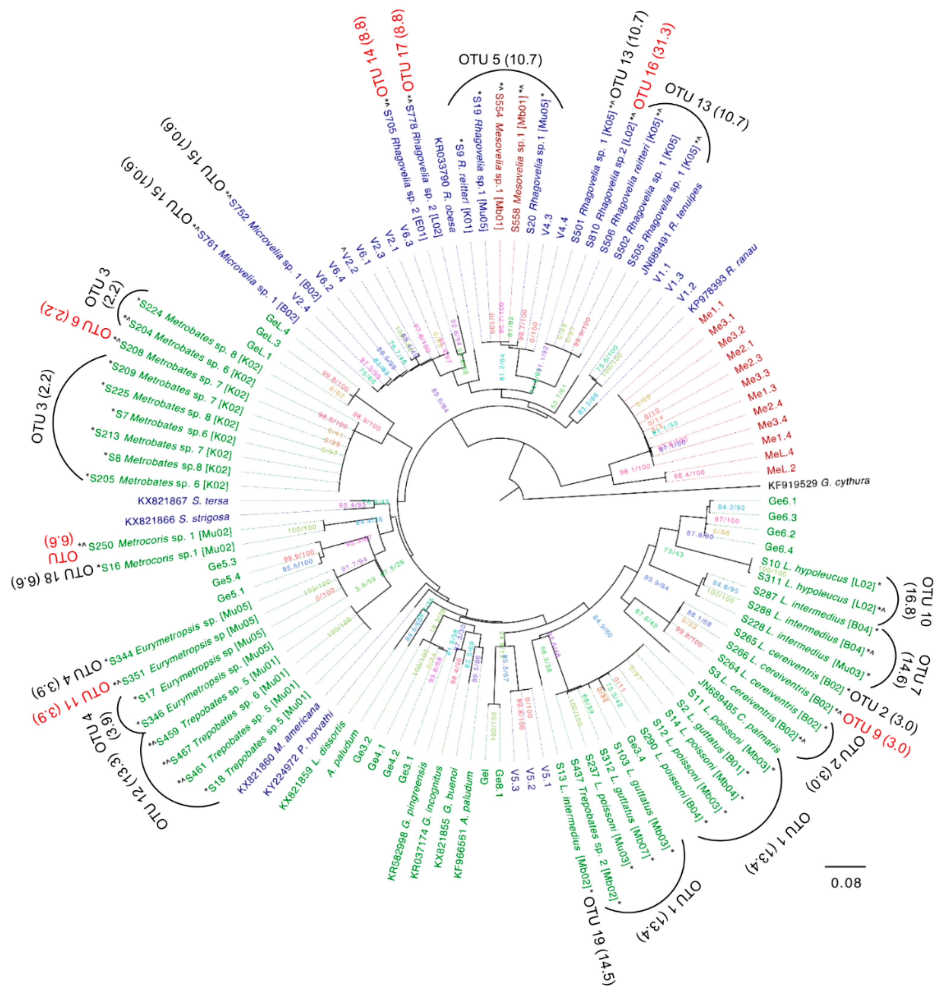 Diversity 11 00225 g008
