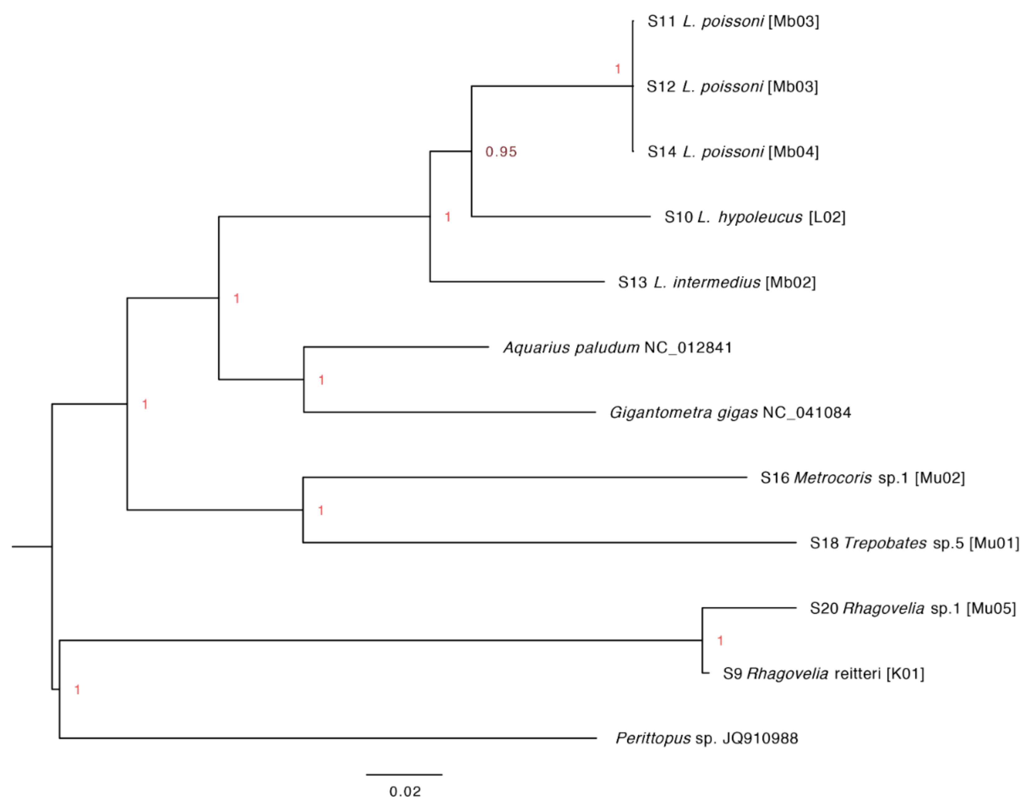 Diversity 11 00225 g009