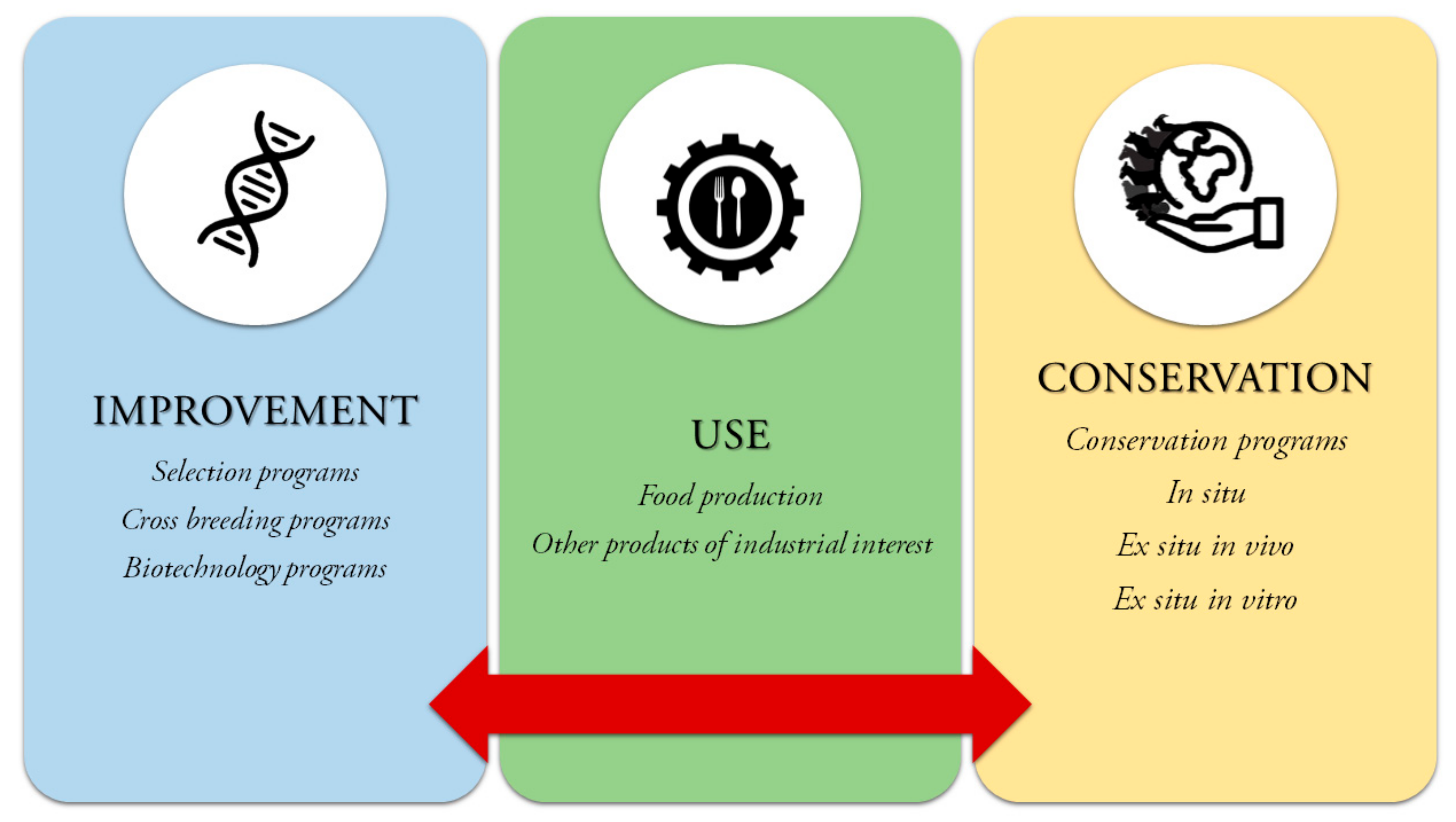 Diversity 11 00235 g002