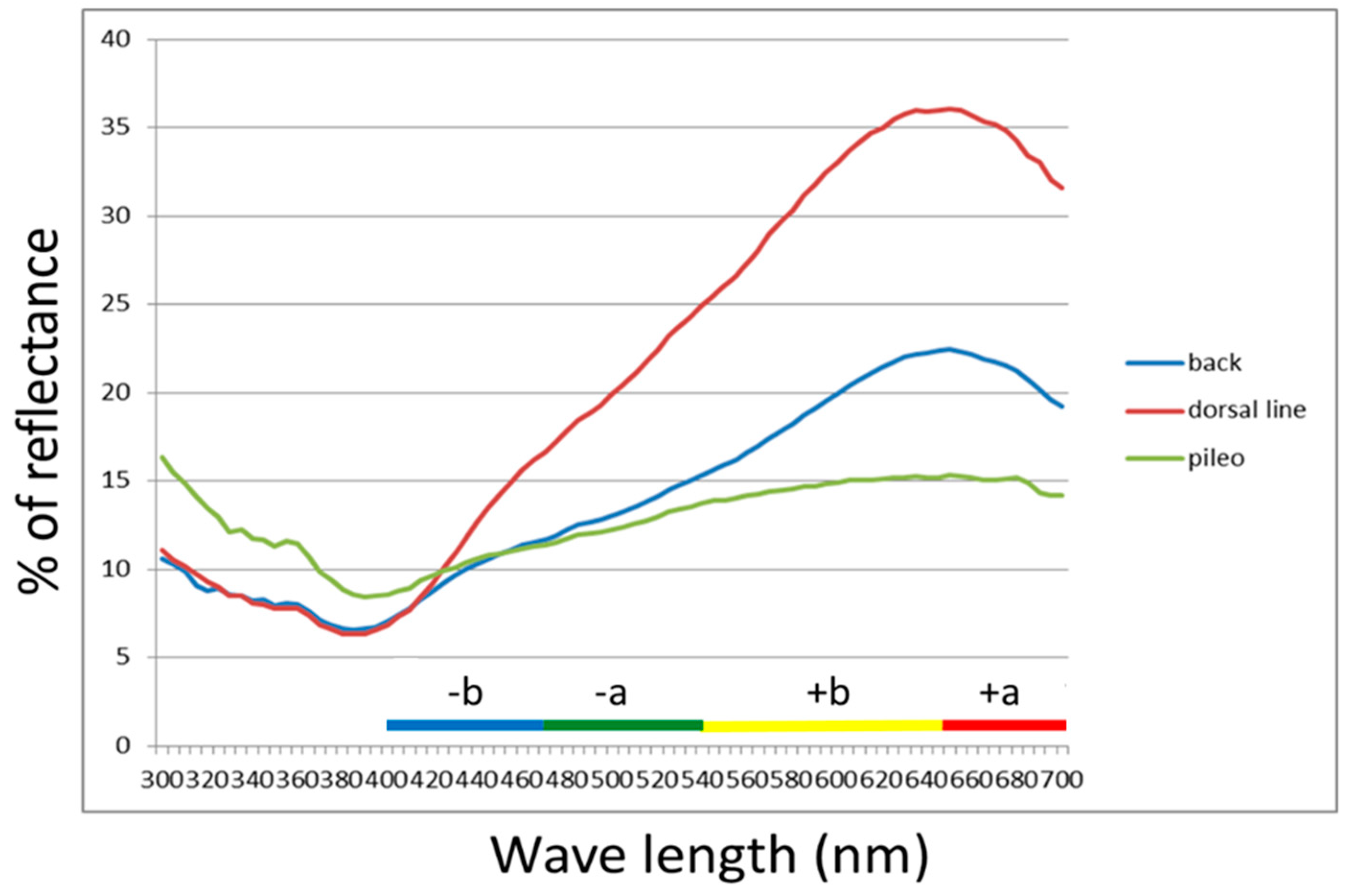 Diversity 11 00236 g0a1