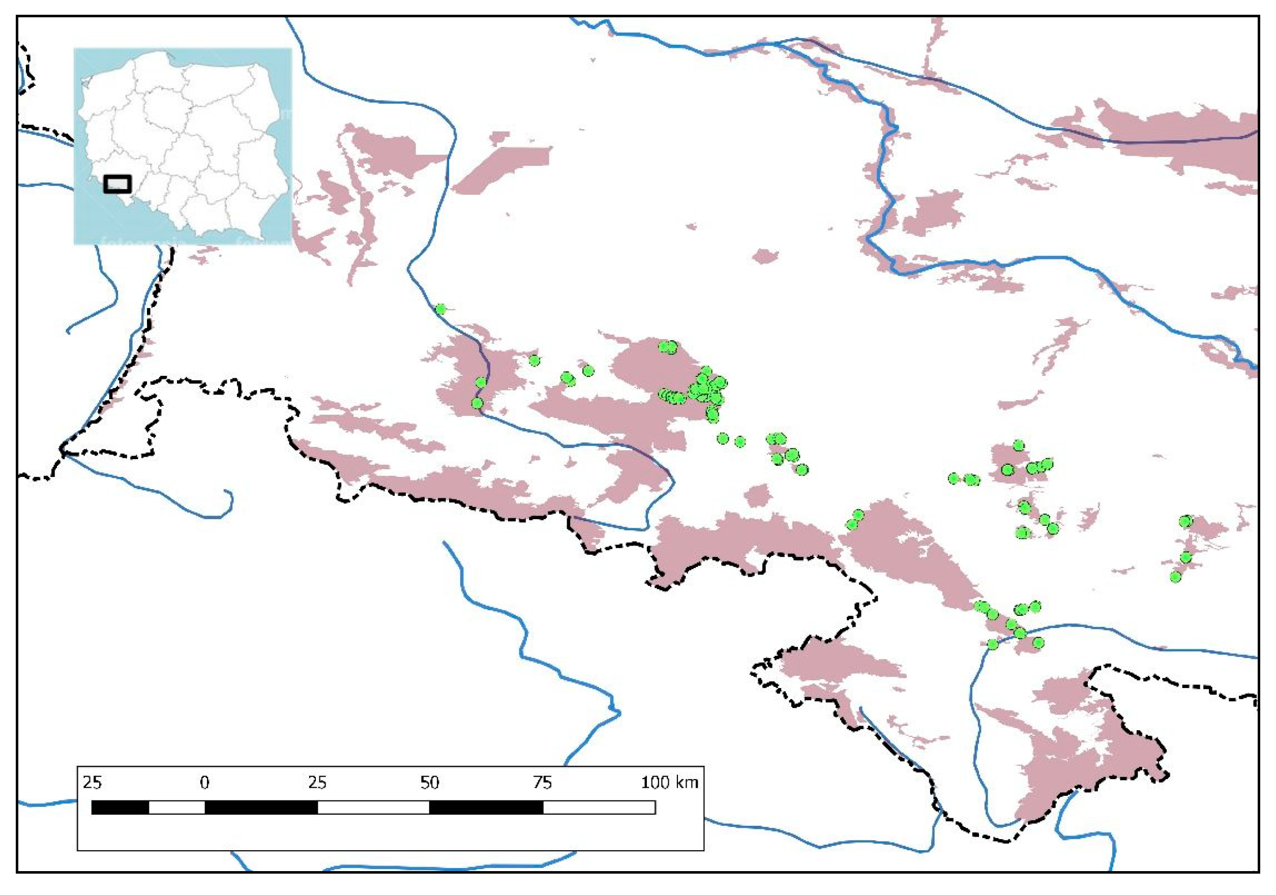 Diversity 12 00006 g001