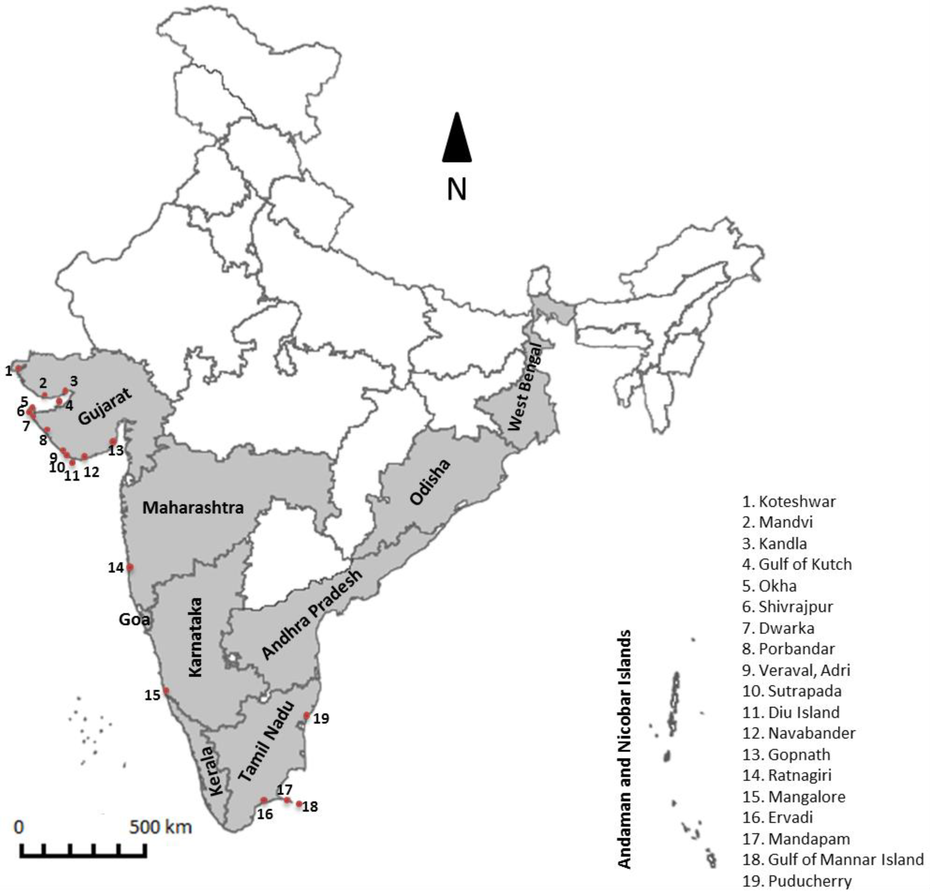 Diversity 12 00013 g003