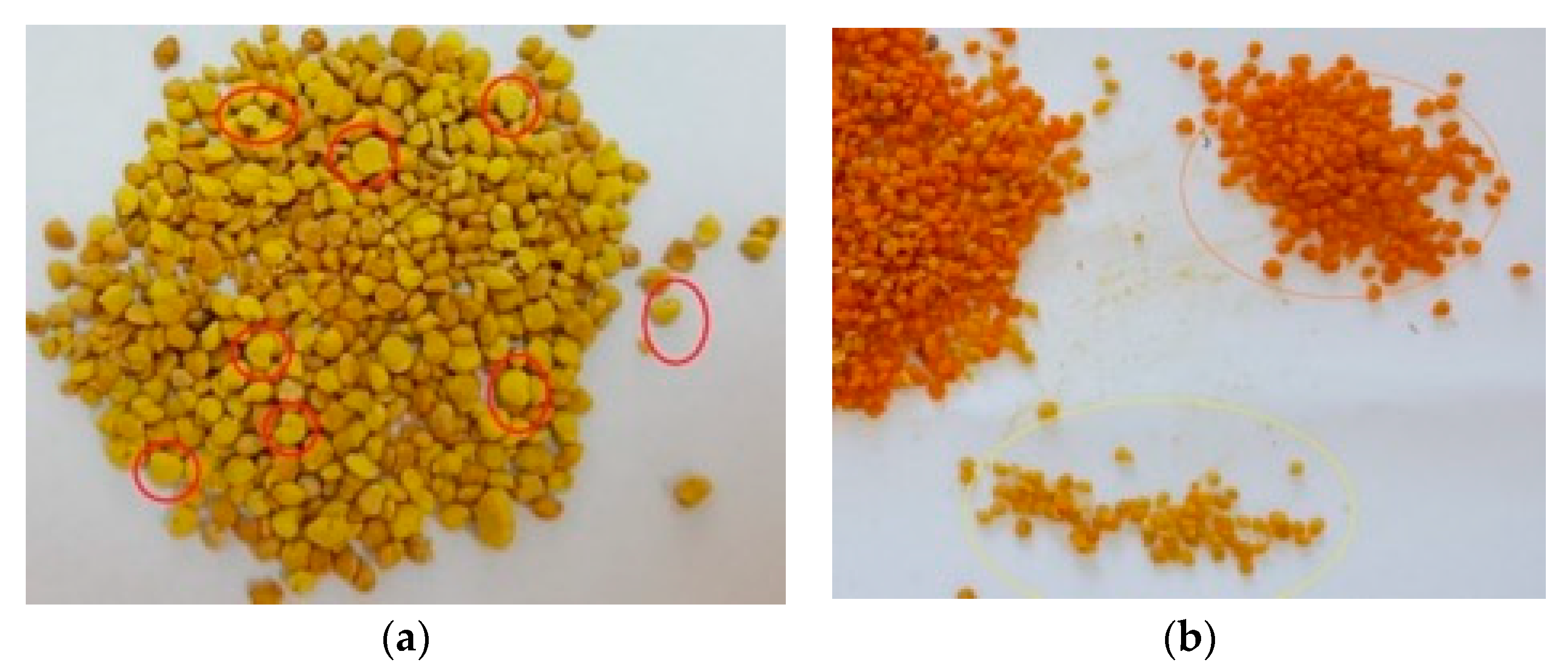 Diversity 12 00024 g002 Diversity 12 00024 g002