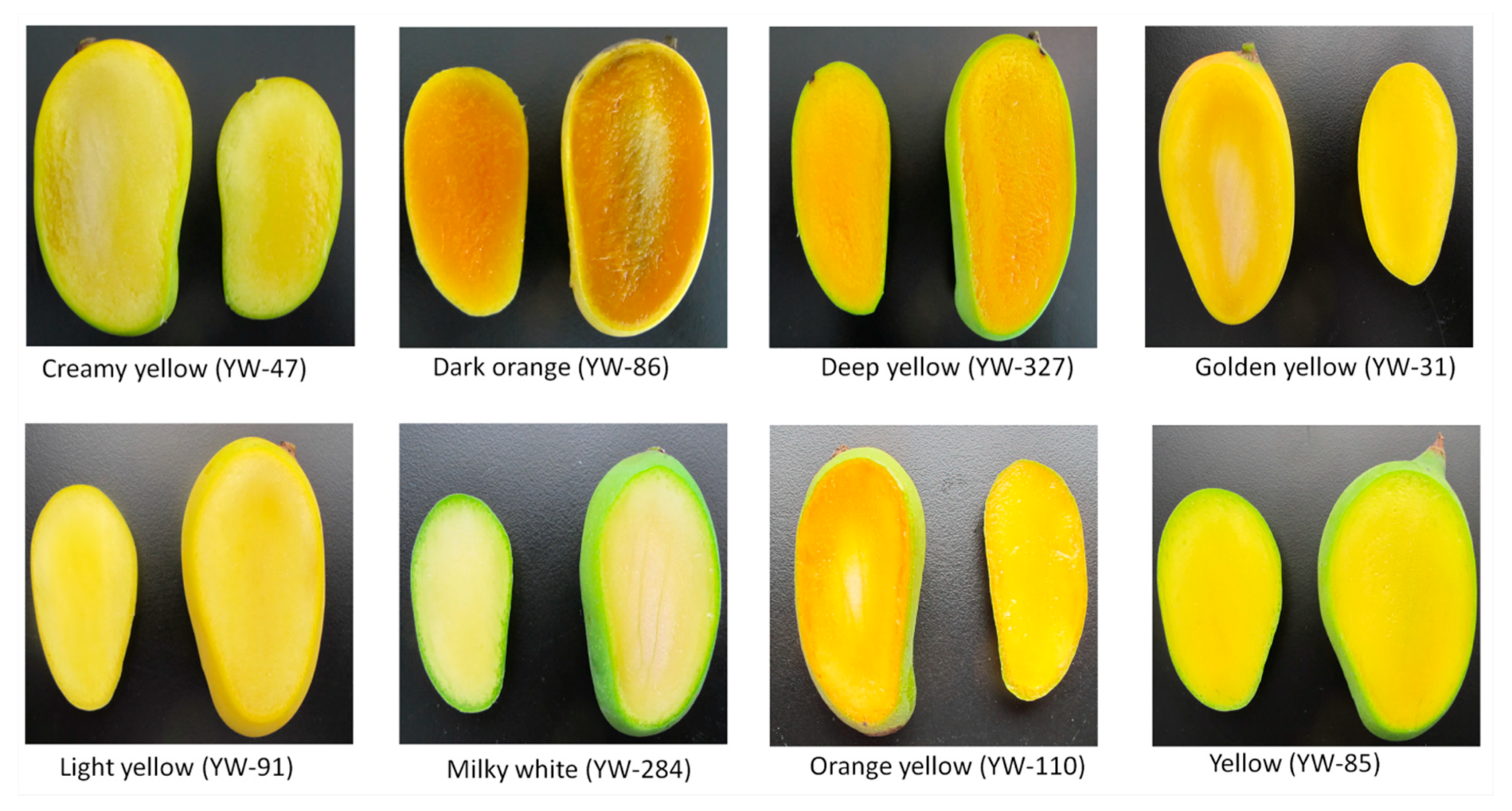 Diversity 12 00027 g003 Diversity 12 00027 g003