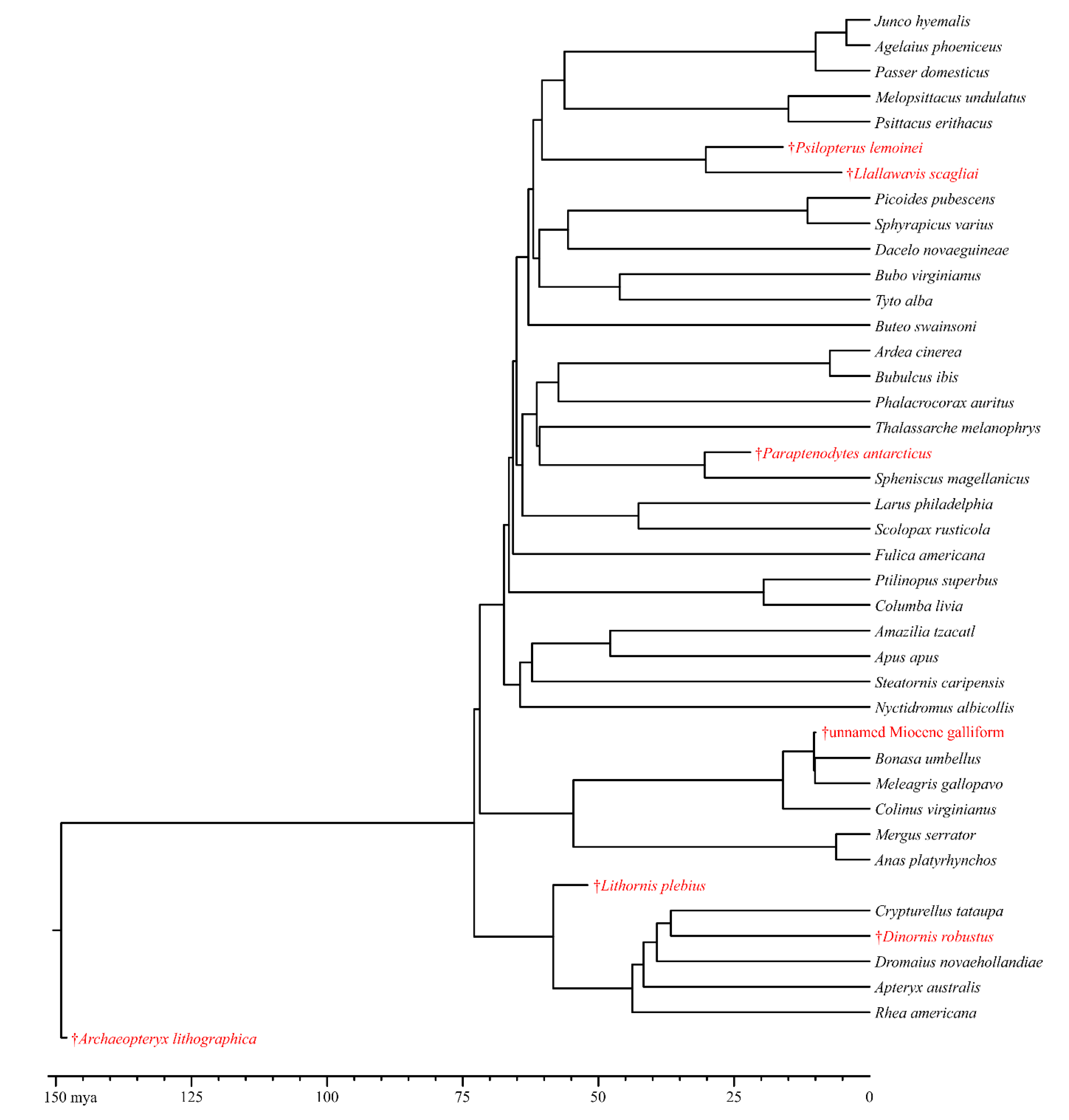 Diversity 12 00034 g002 Diversity 12 00034 g002