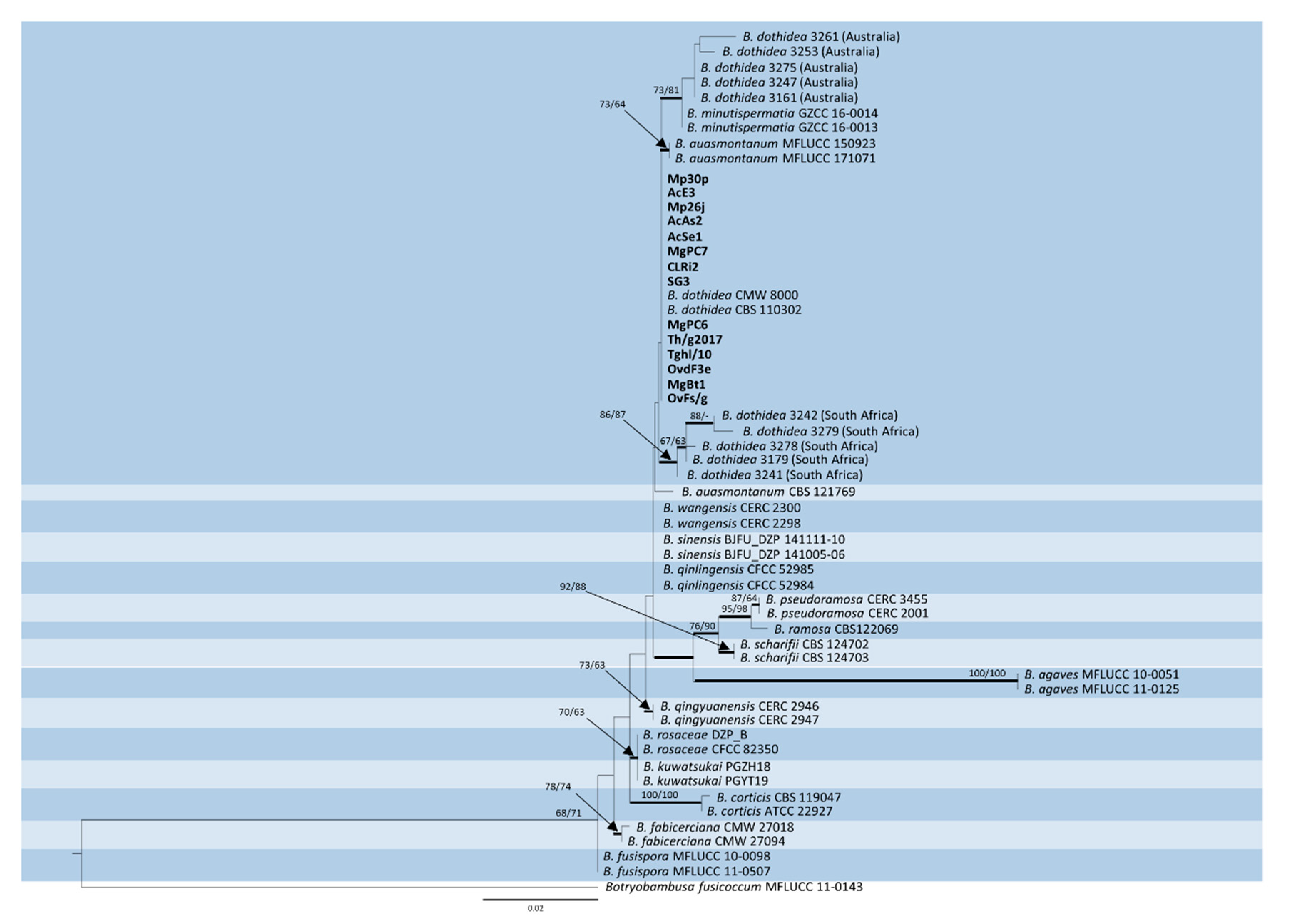 Diversity 12 00041 g002
