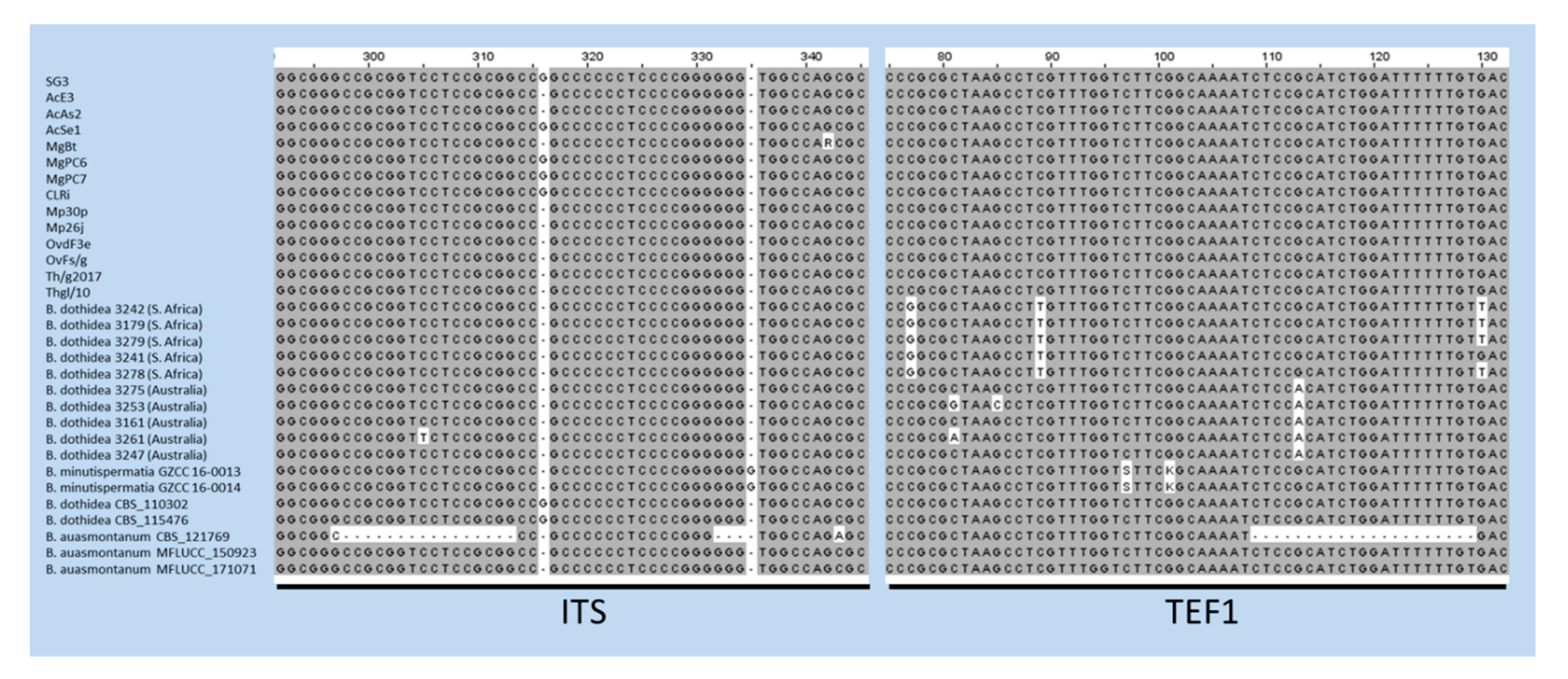 Diversity 12 00041 g003