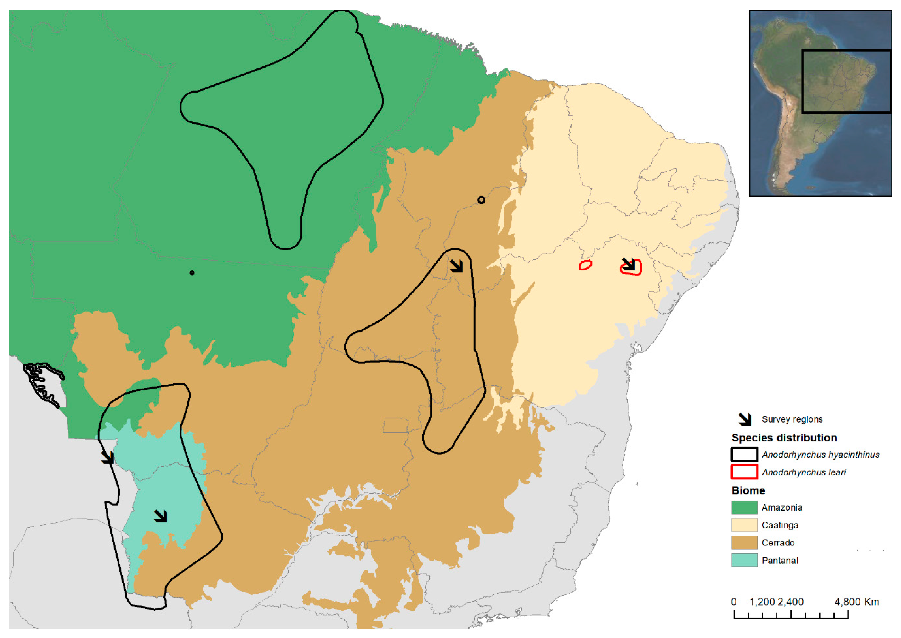 Diversity 12 00045 g001