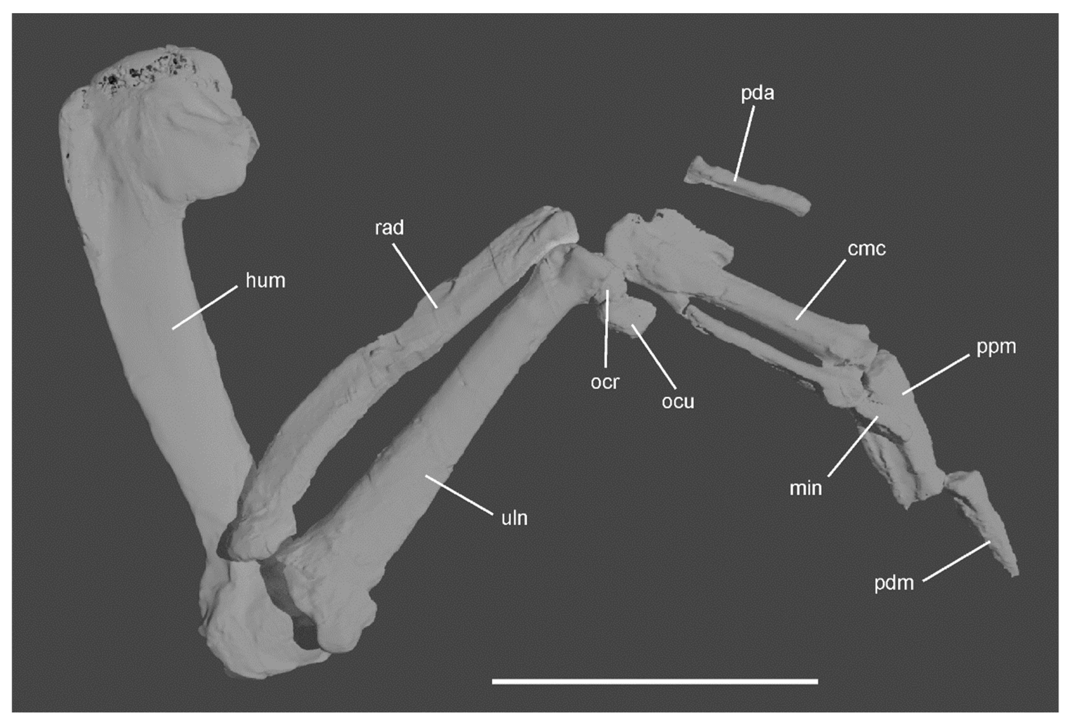 Diversity 12 00046 g004