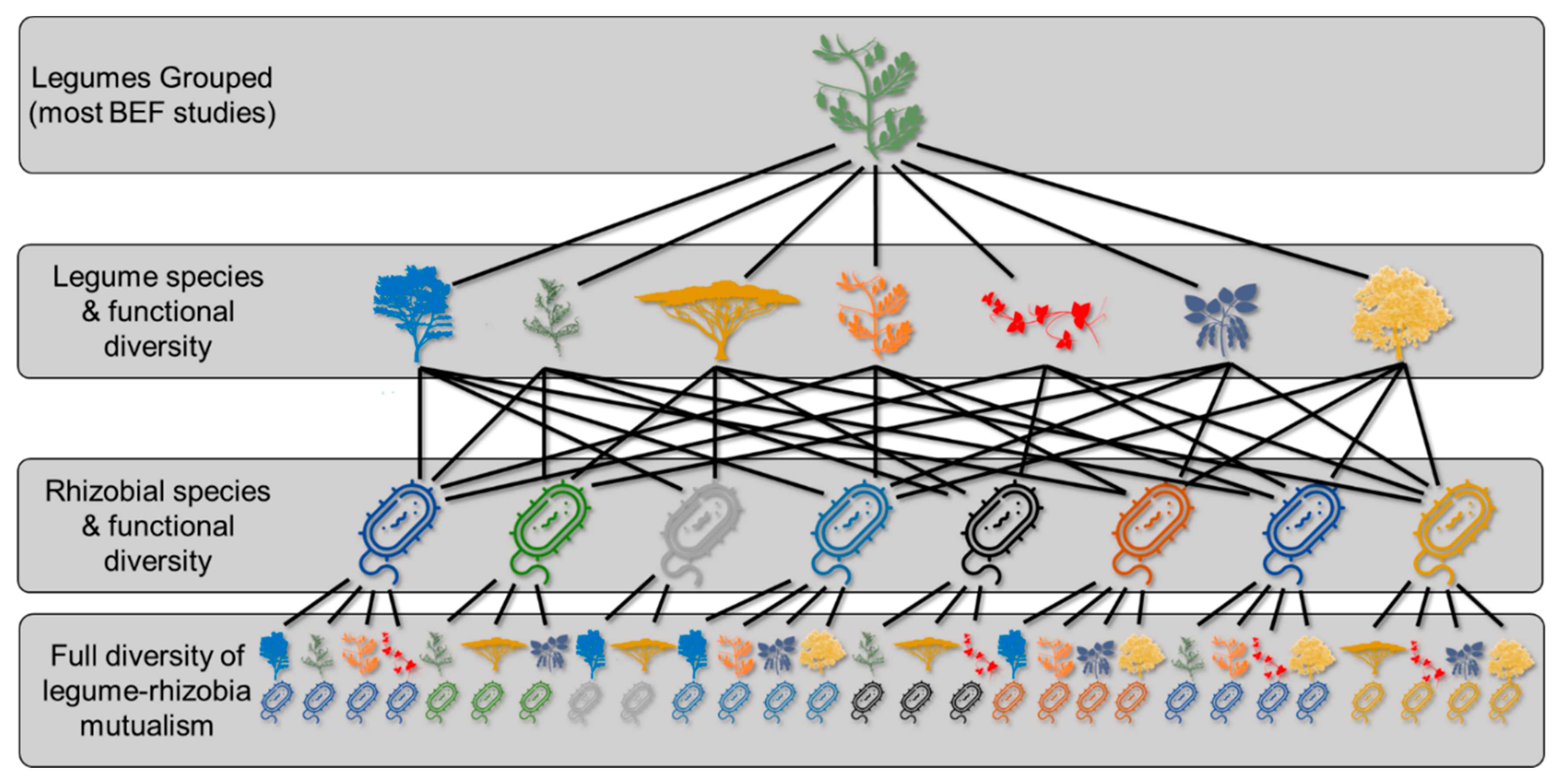 Diversity 12 00050 g002 Diversity 12 00050 g002