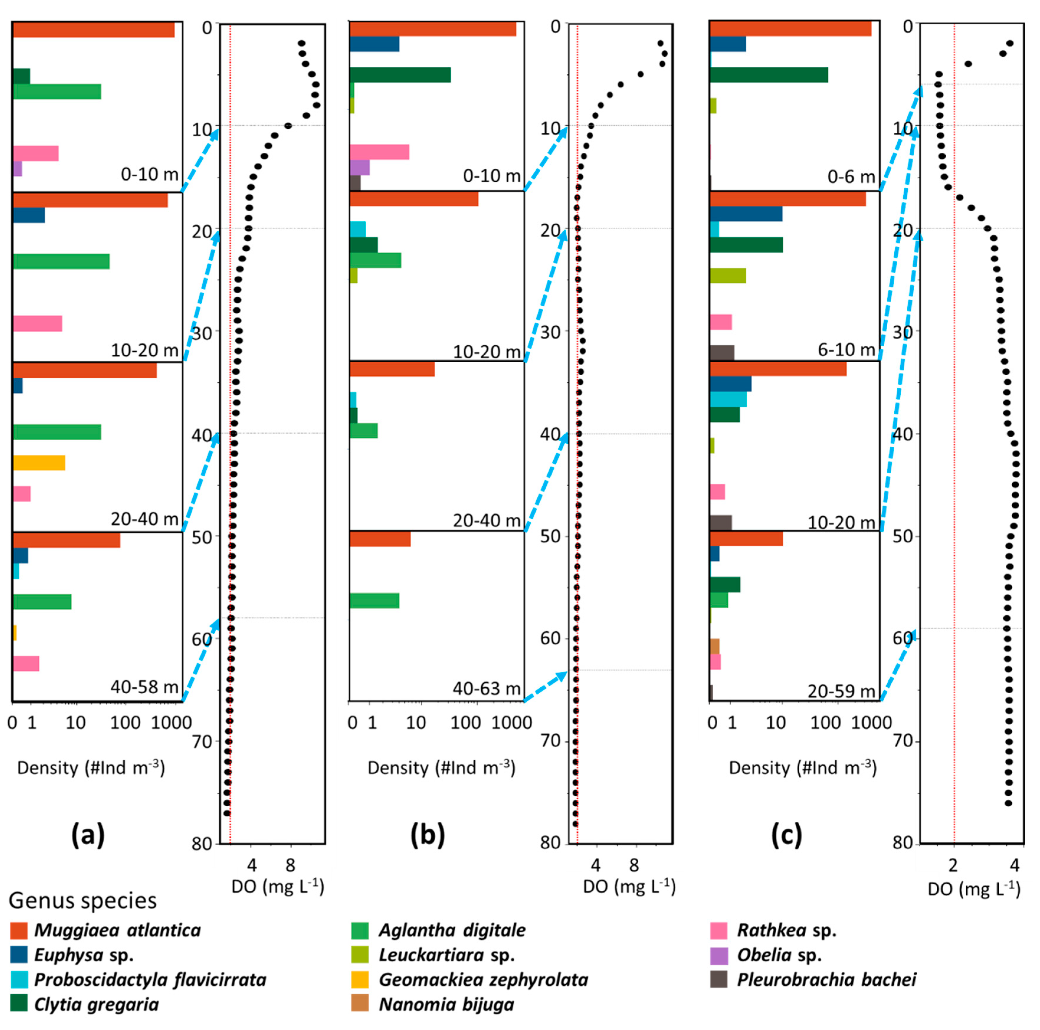 Diversity 12 00053 g007 Diversity 12 00053 g007