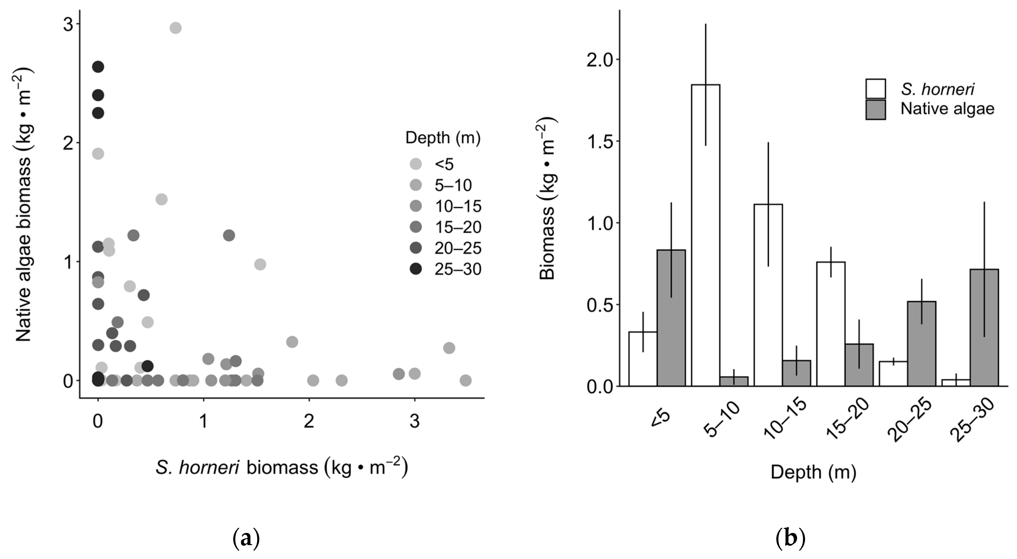 Diversity 12 00054 g006 Diversity 12 00054 g006