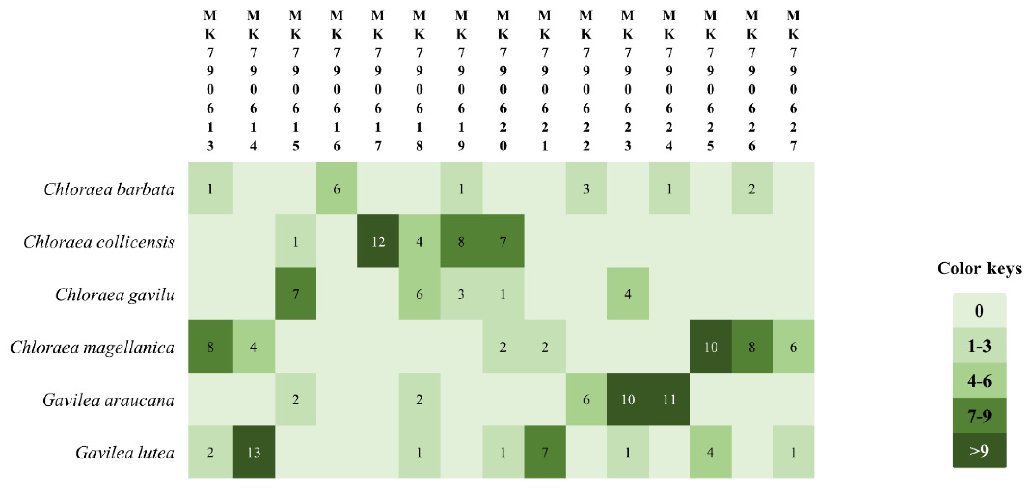 Diversity 12 00055 g001