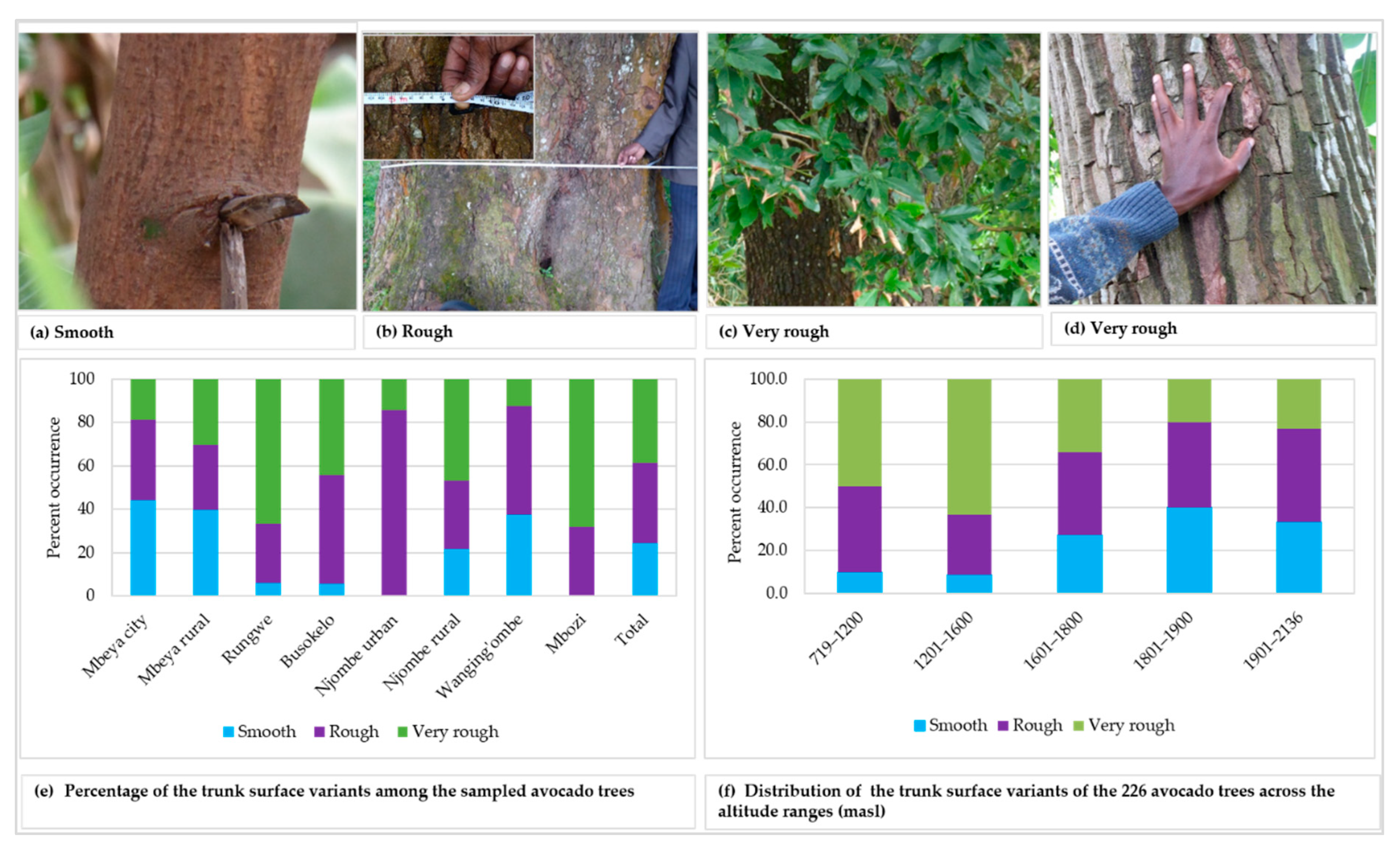 Diversity 12 00064 g003 Diversity 12 00064 g003