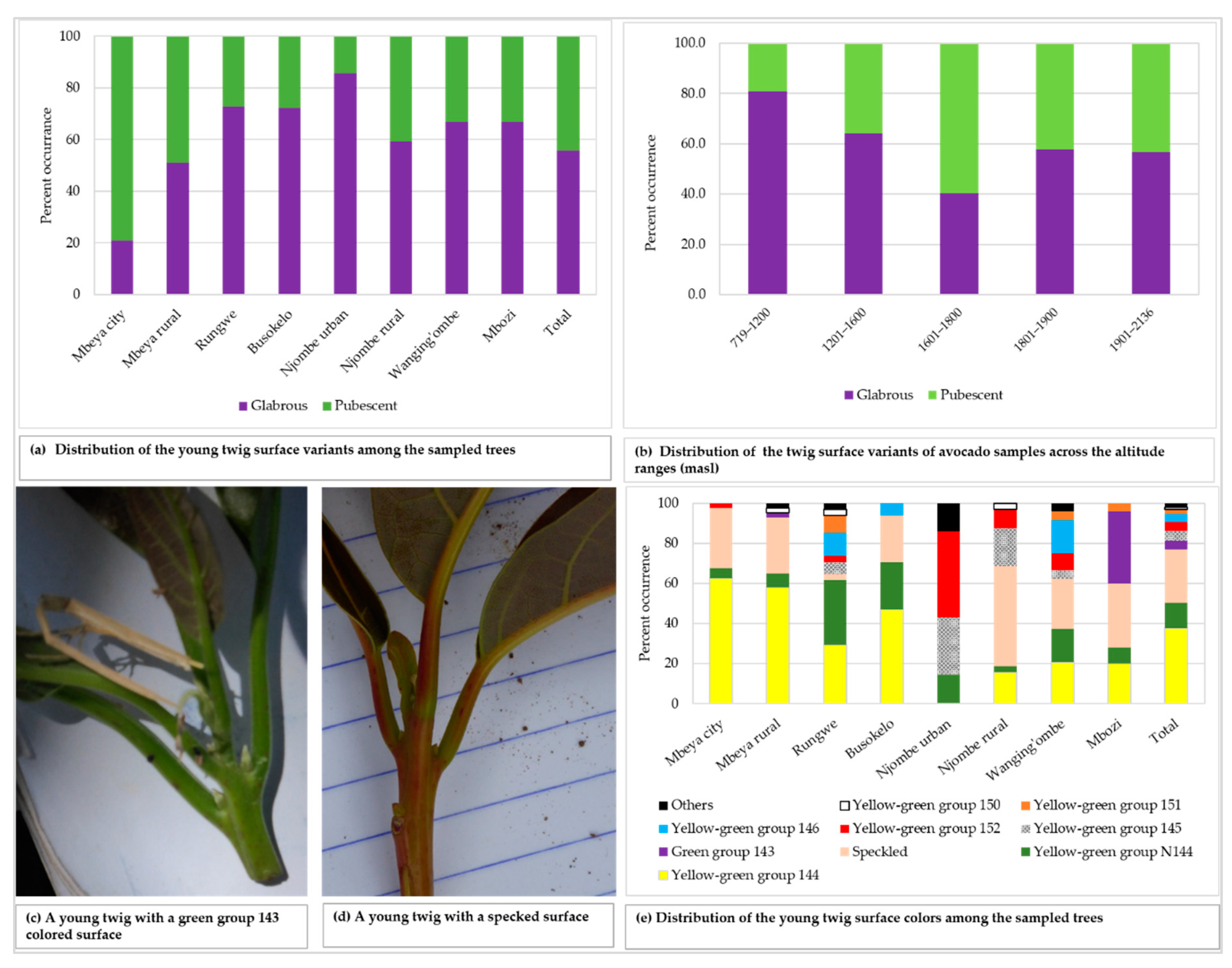 Diversity 12 00064 g004 Diversity 12 00064 g004