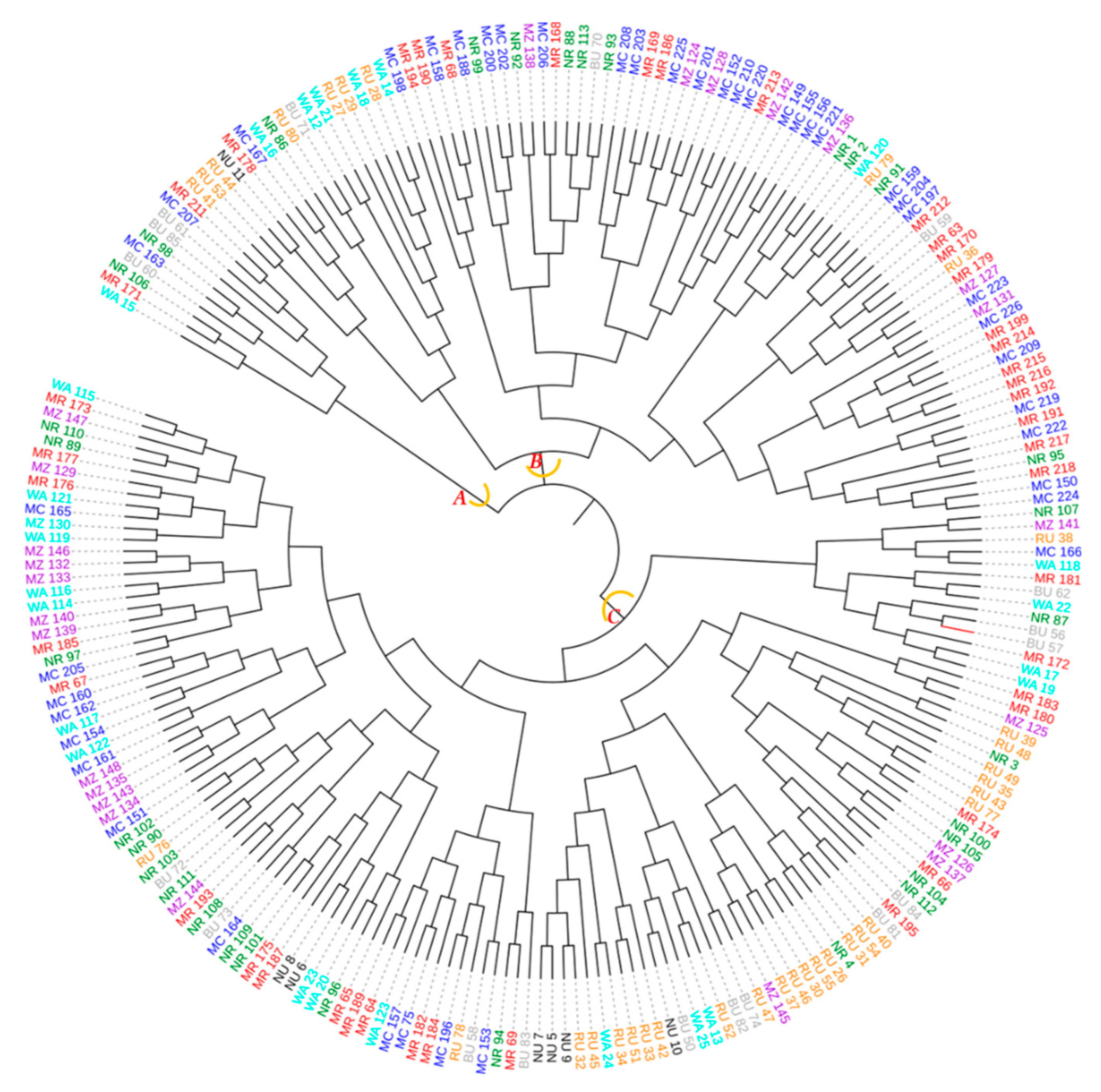 Diversity 12 00064 g014 Diversity 12 00064 g014
