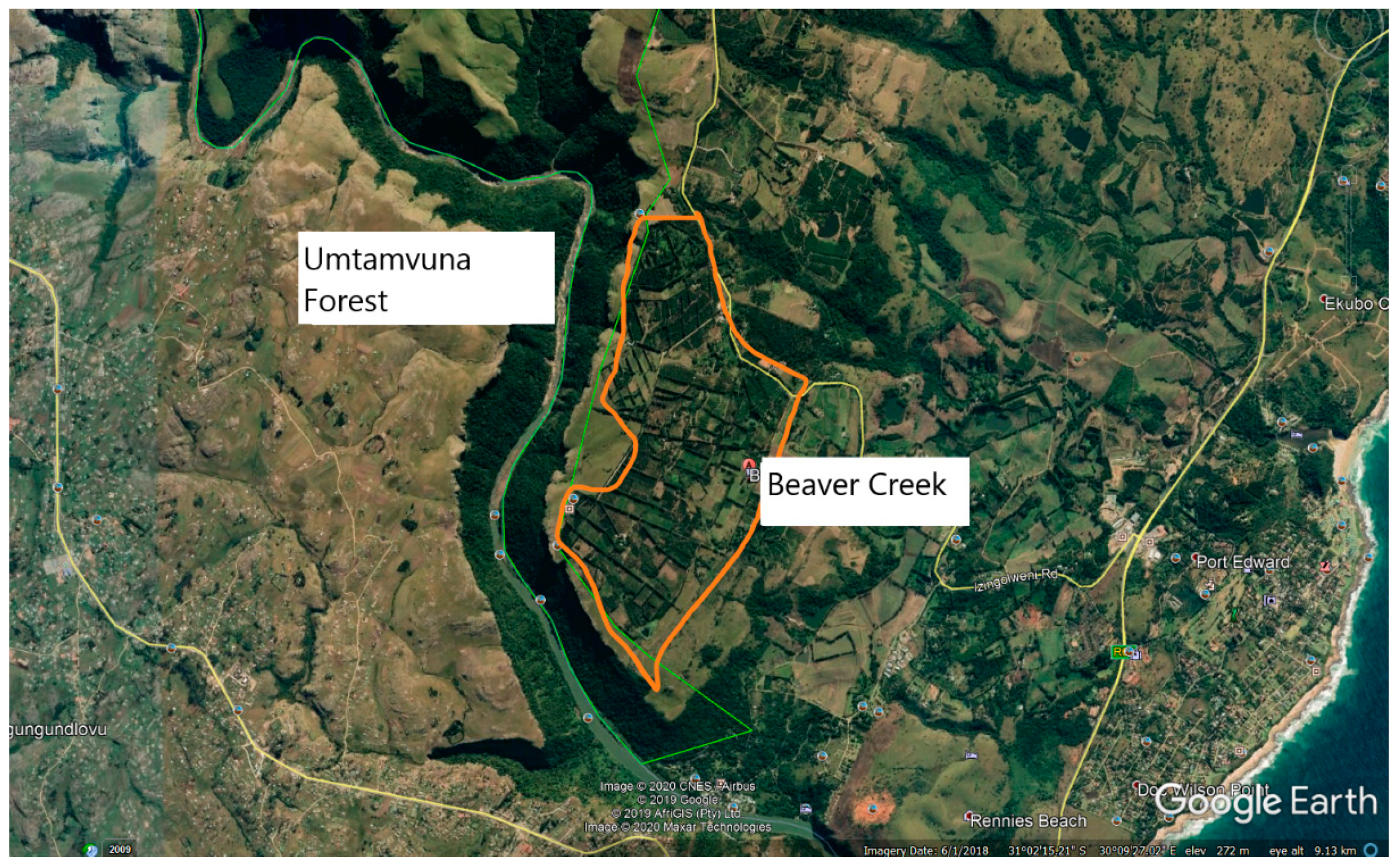 Diversity 12 00079 g001