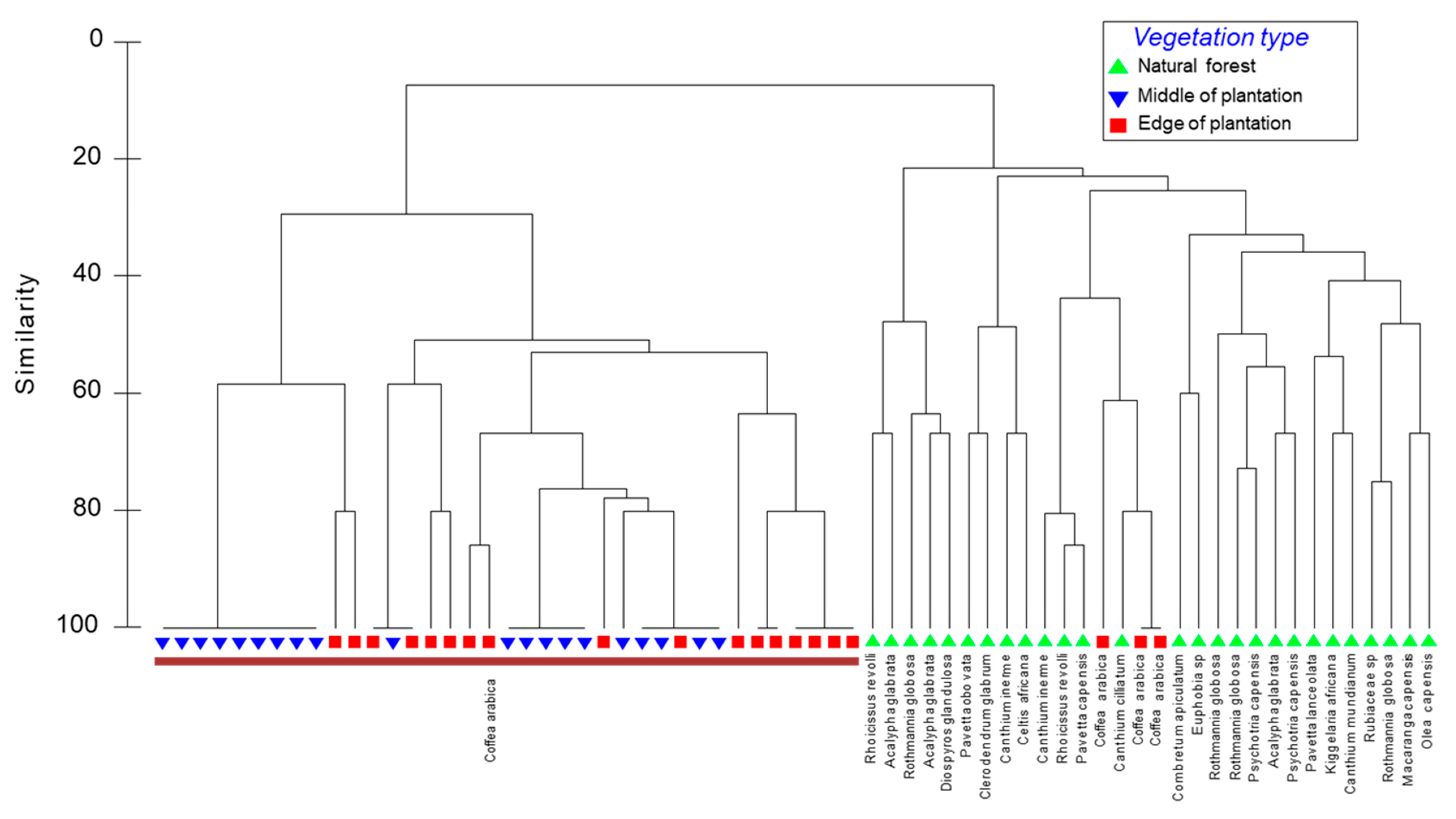 Diversity 12 00079 g002