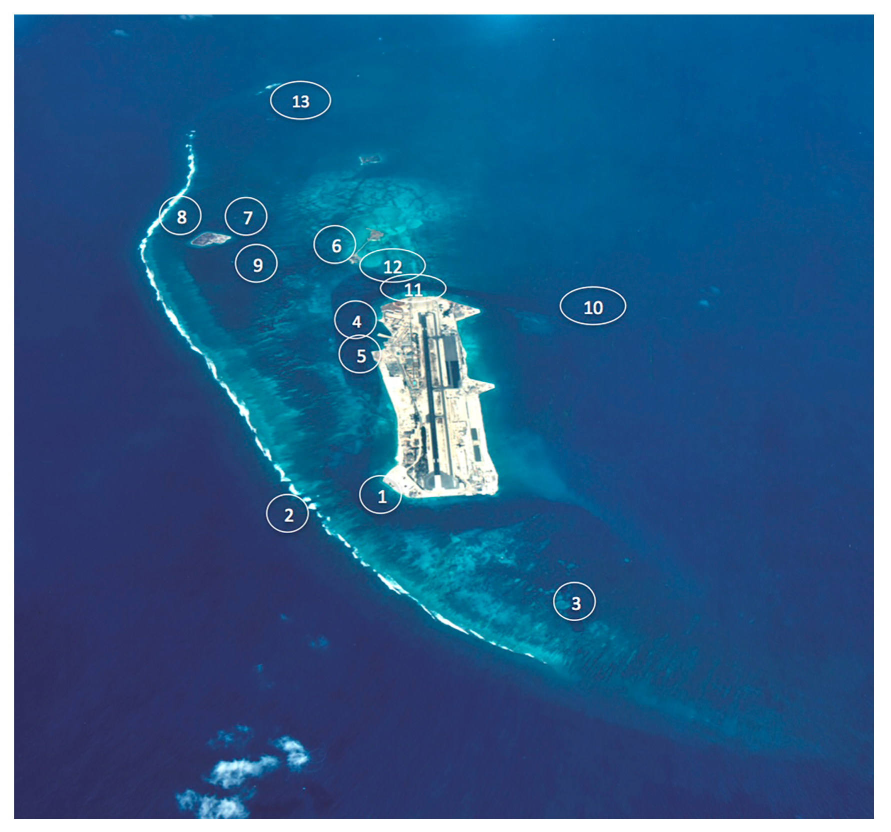 Diversity 12 00083 g008