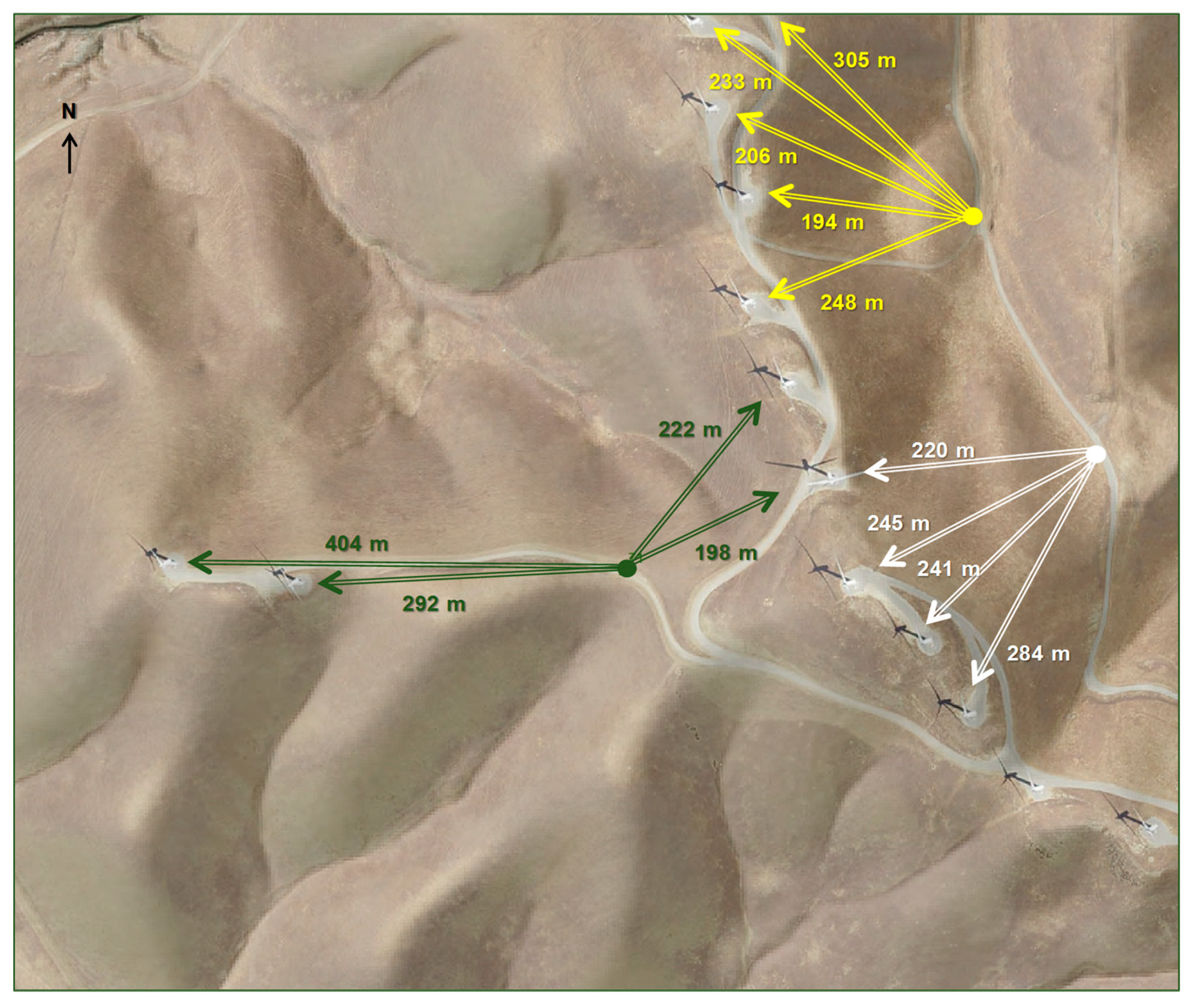 Diversity 12 00084 g001