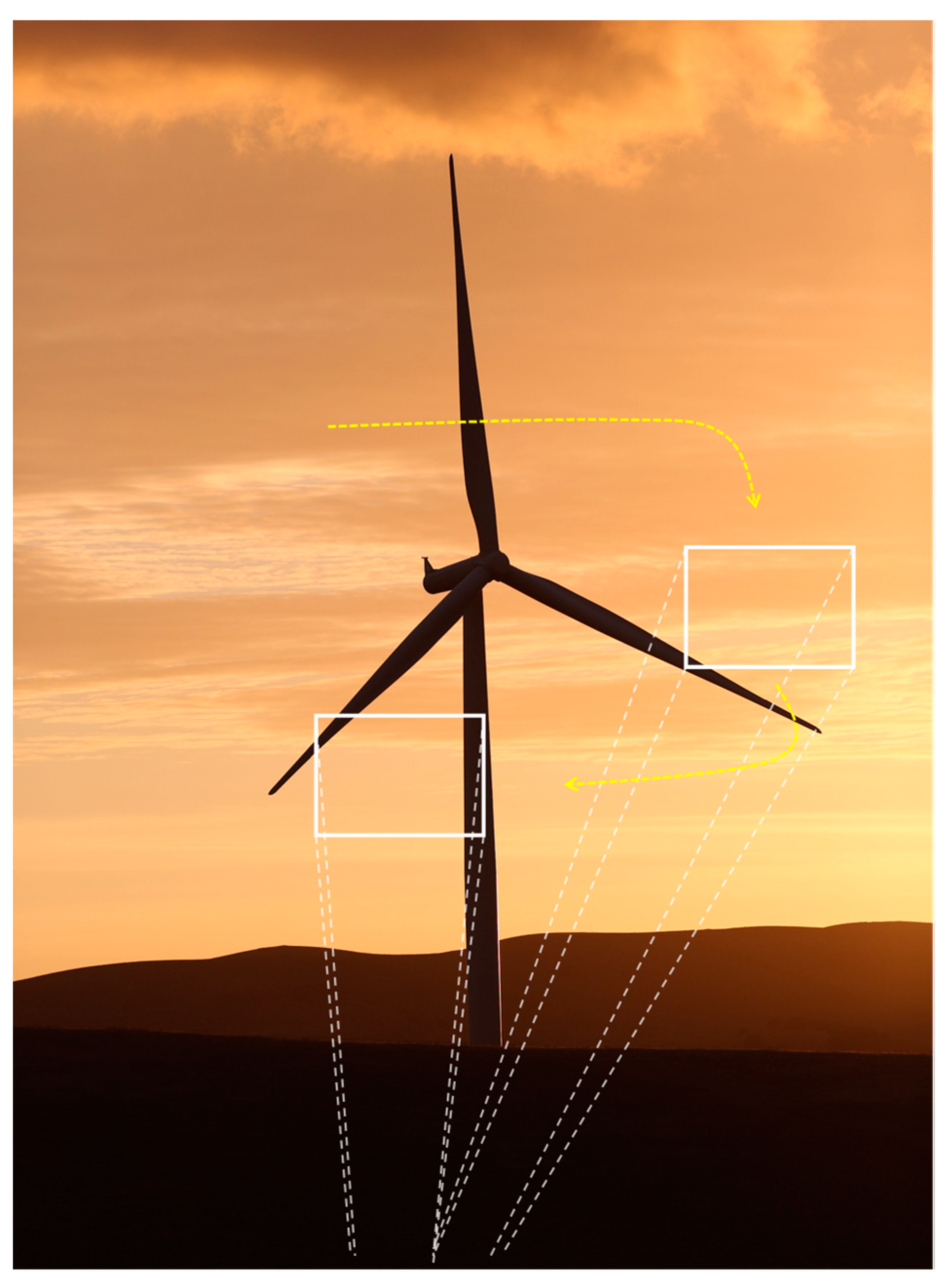 Diversity 12 00084 g002