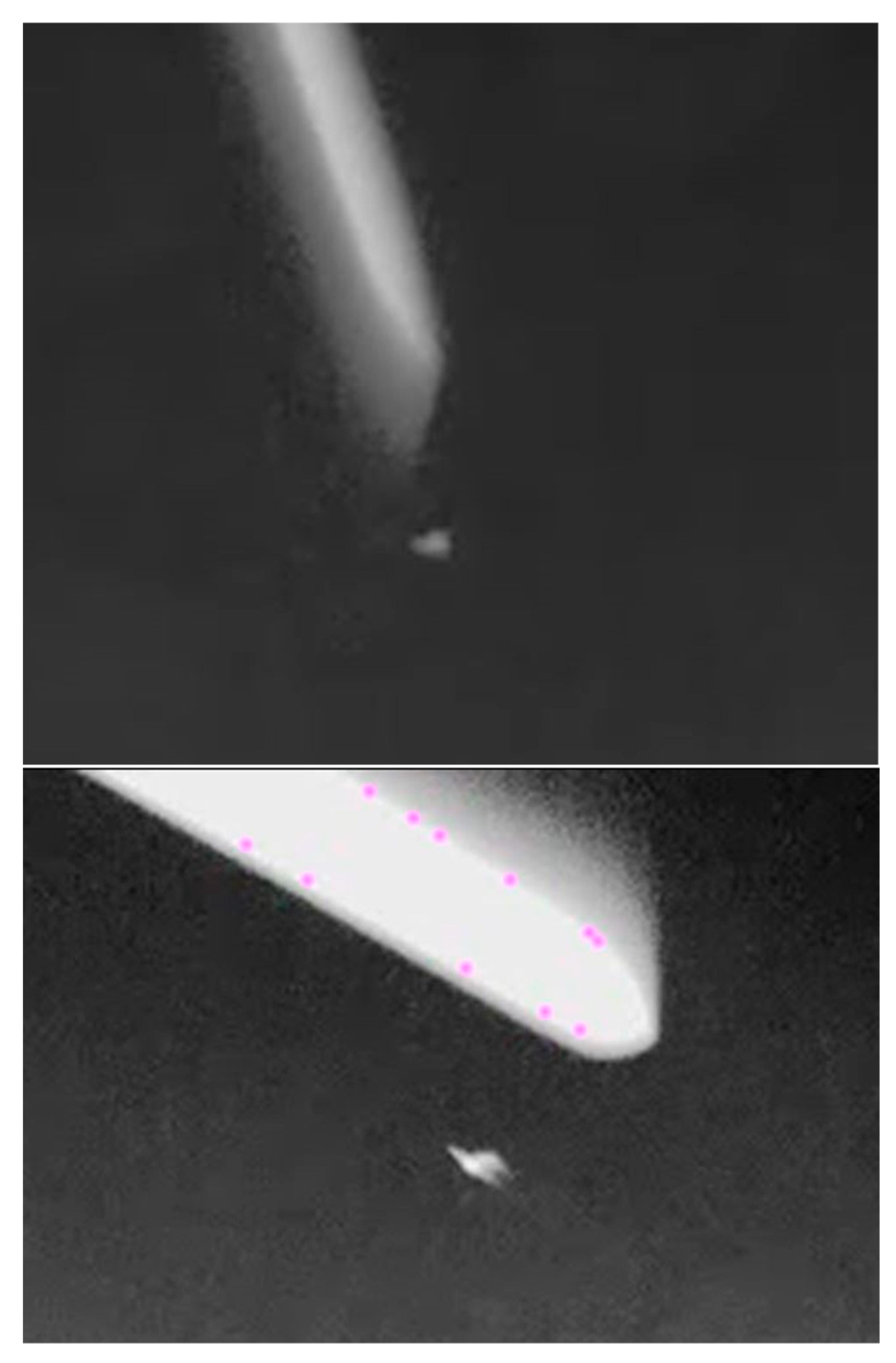 Diversity 12 00084 g004