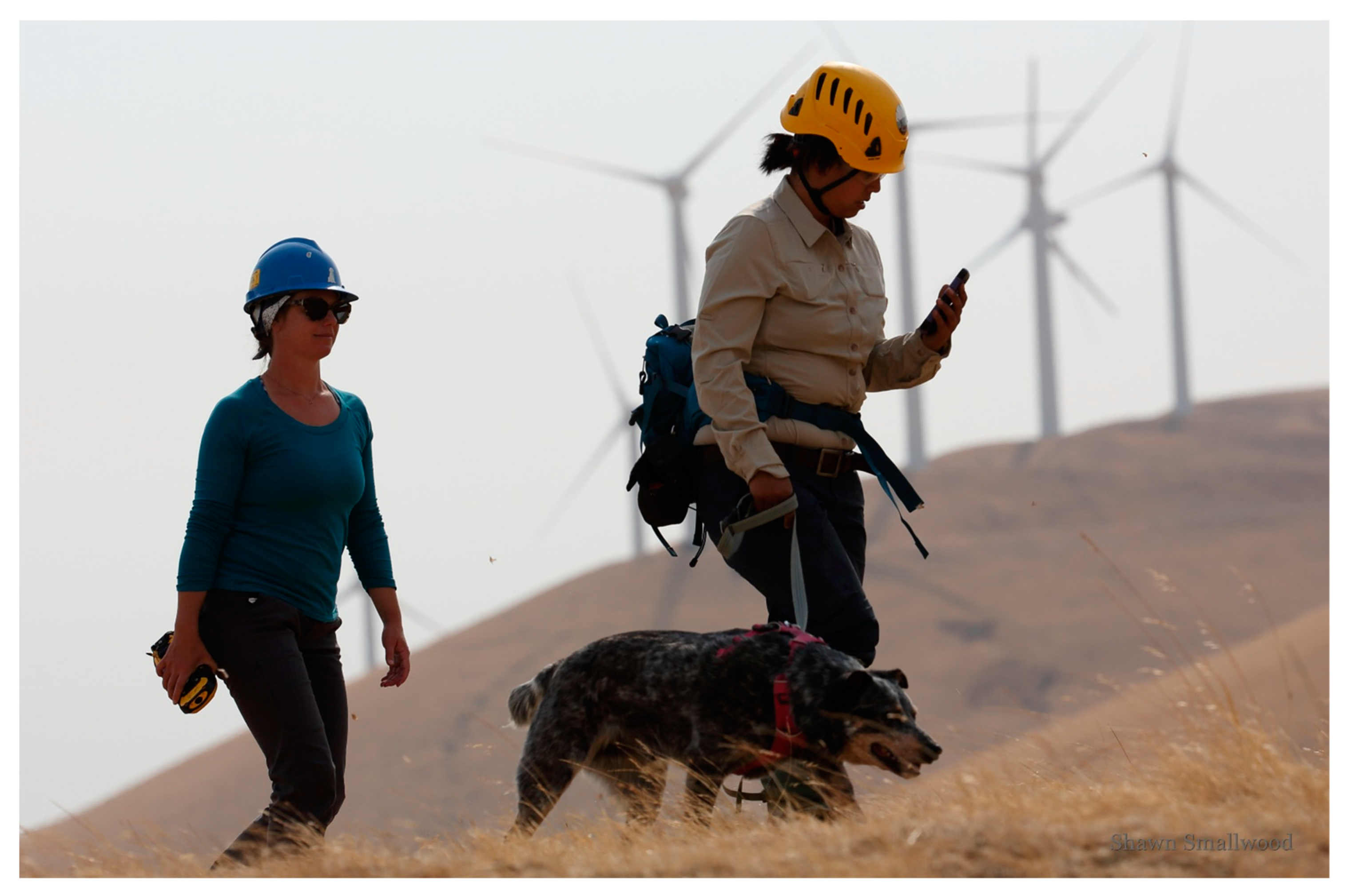 Diversity 12 00084 g005