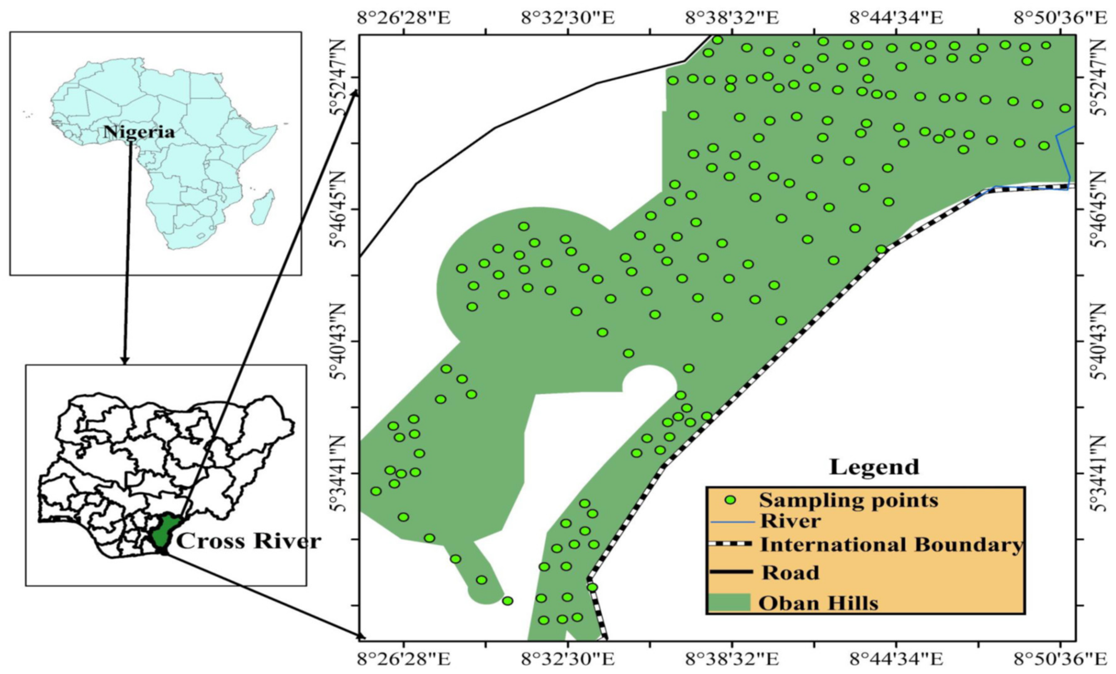Diversity 12 00085 g001