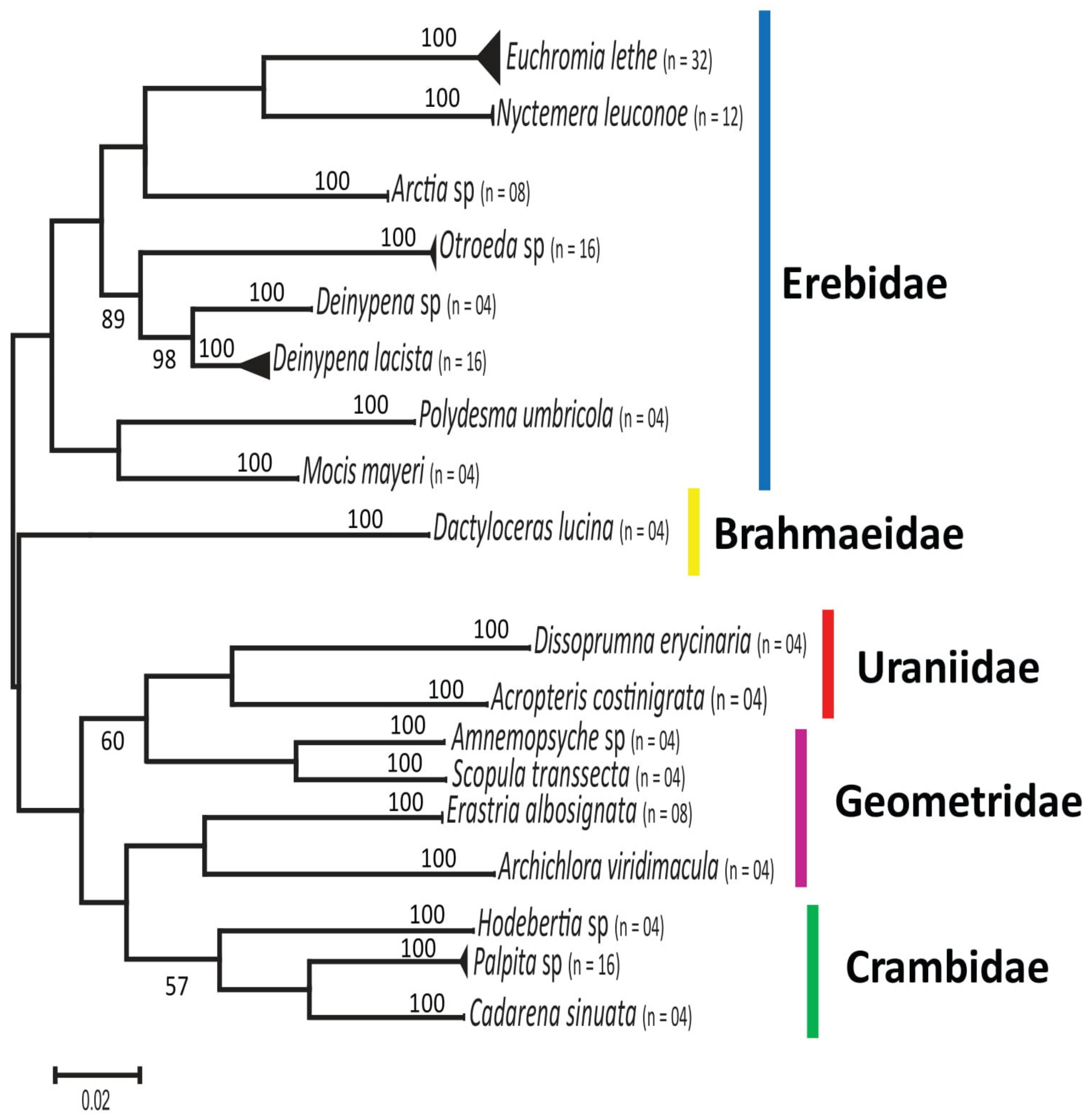 Diversity 12 00085 g002