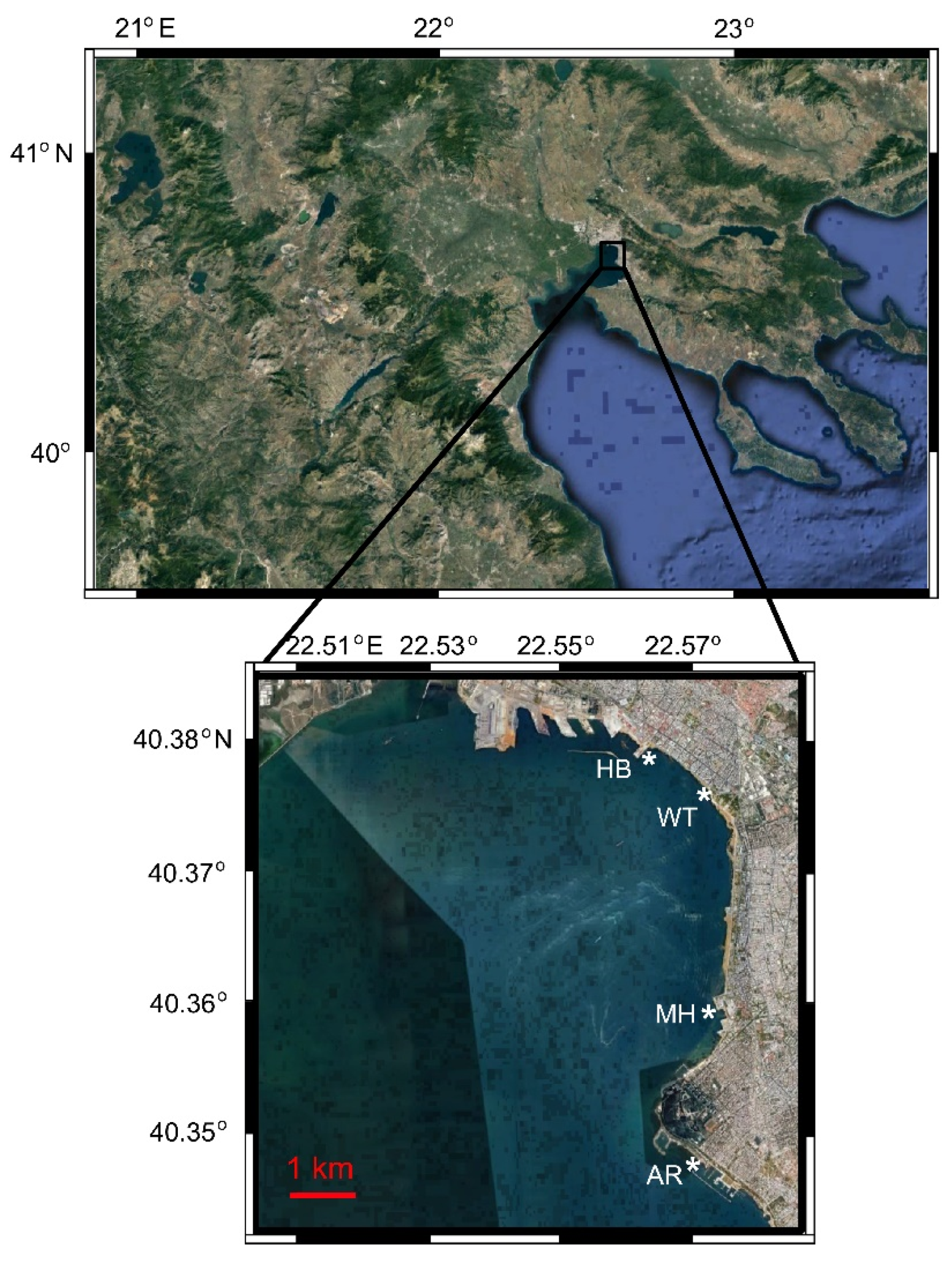 Diversity 12 00114 g001 Diversity 12 00114 g001