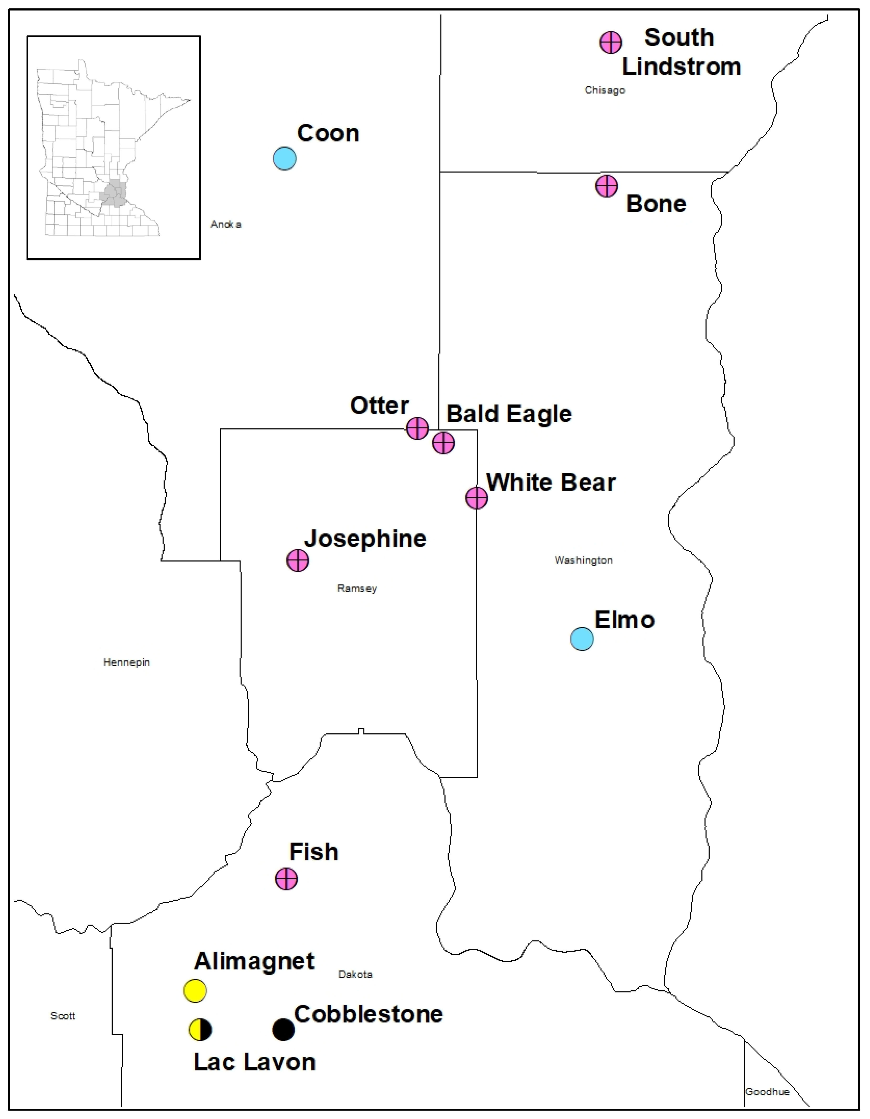 Diversity 12 00120 g002