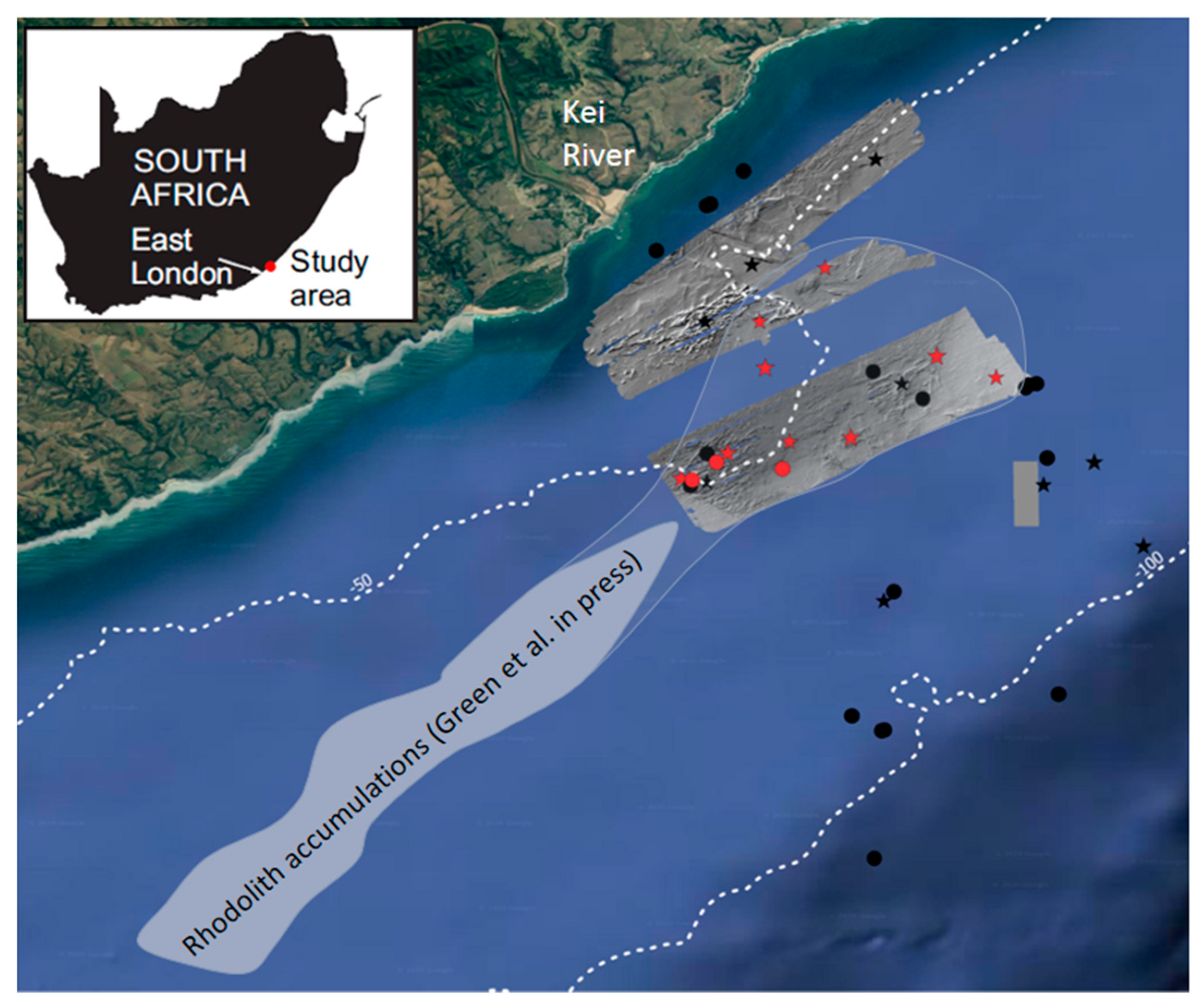 Diversity 12 00125 g001