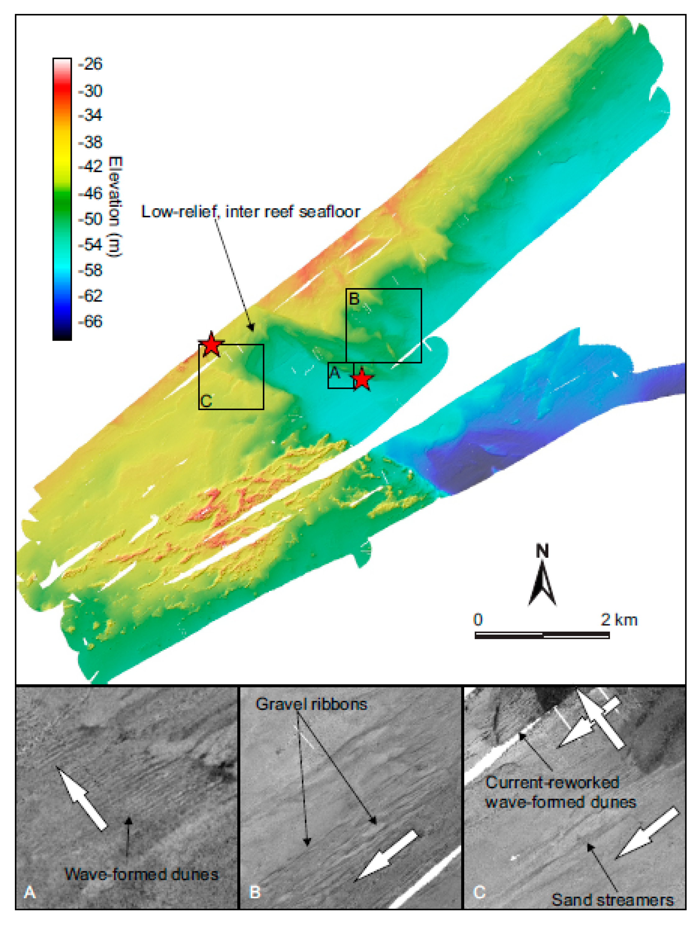 Diversity 12 00125 g006