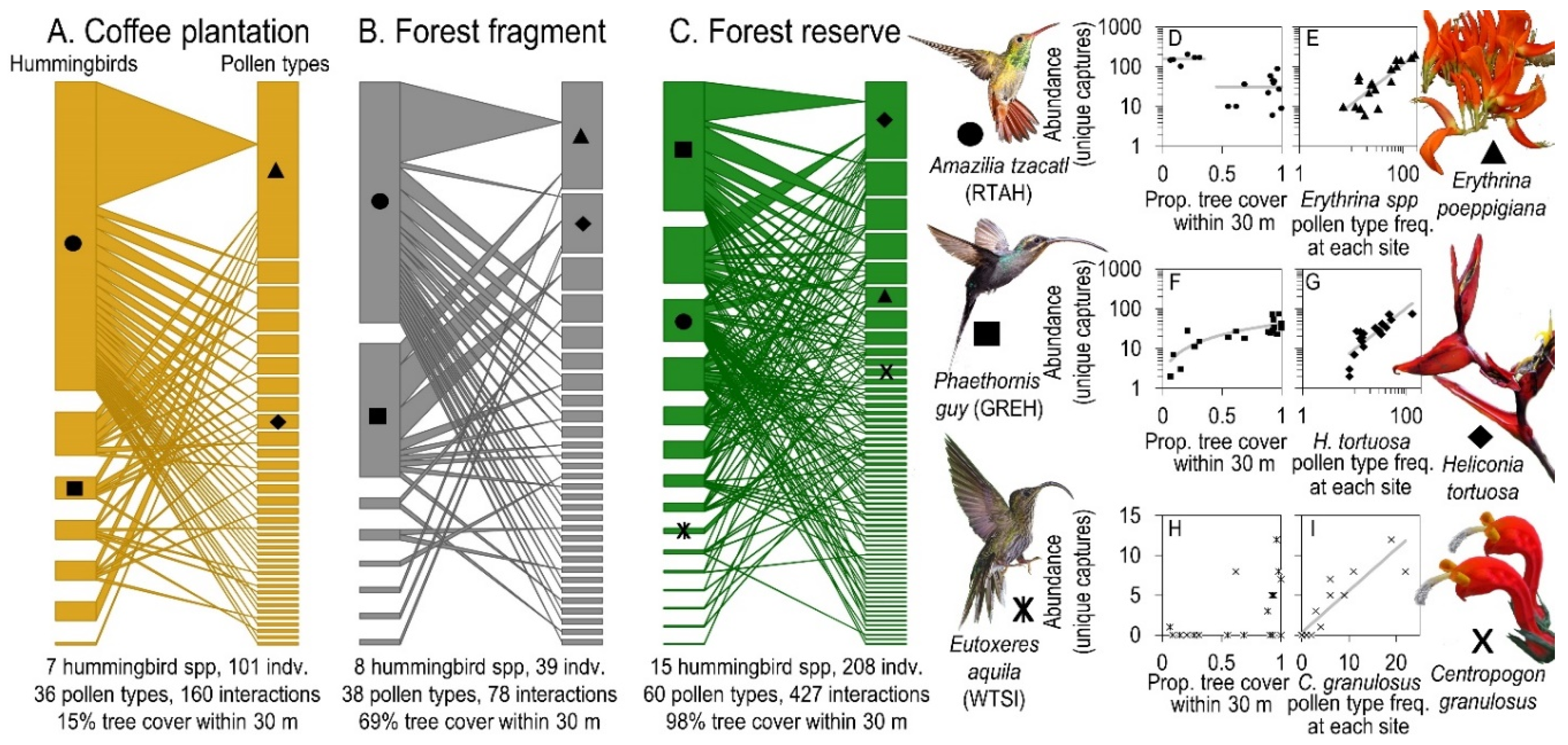 Diversity 12 00126 g003