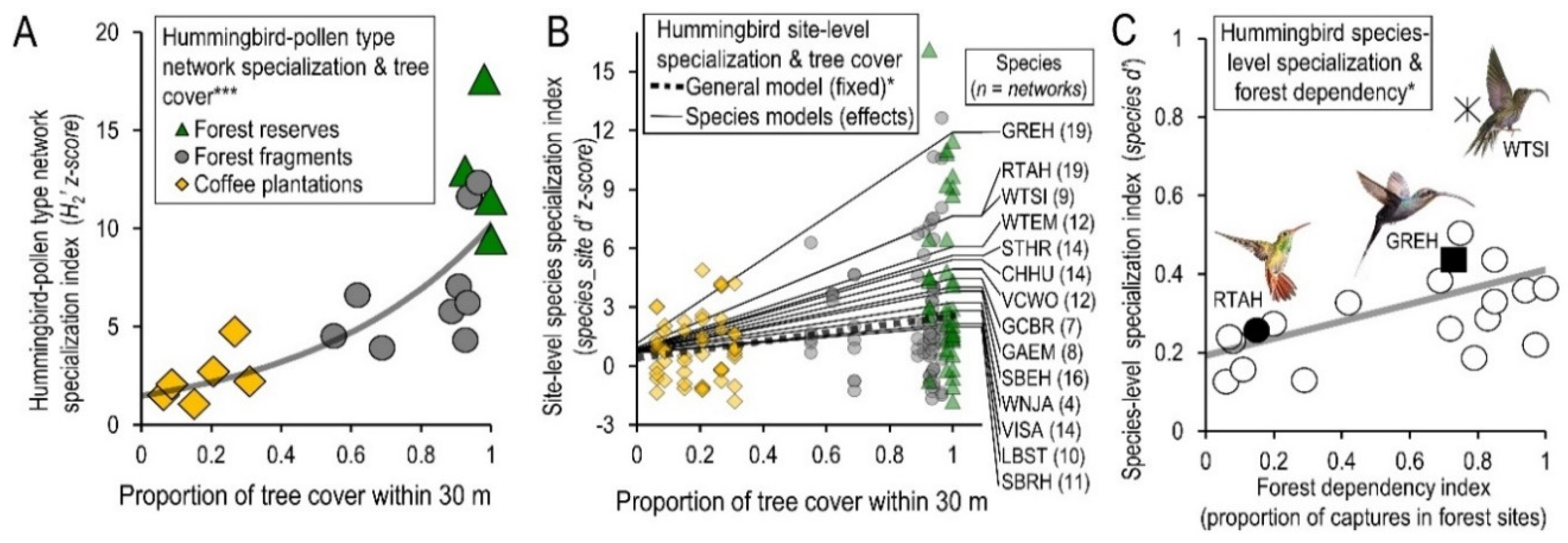 Diversity 12 00126 g004