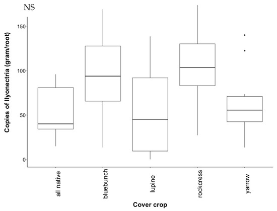 Diversity 12 00128 g0a4