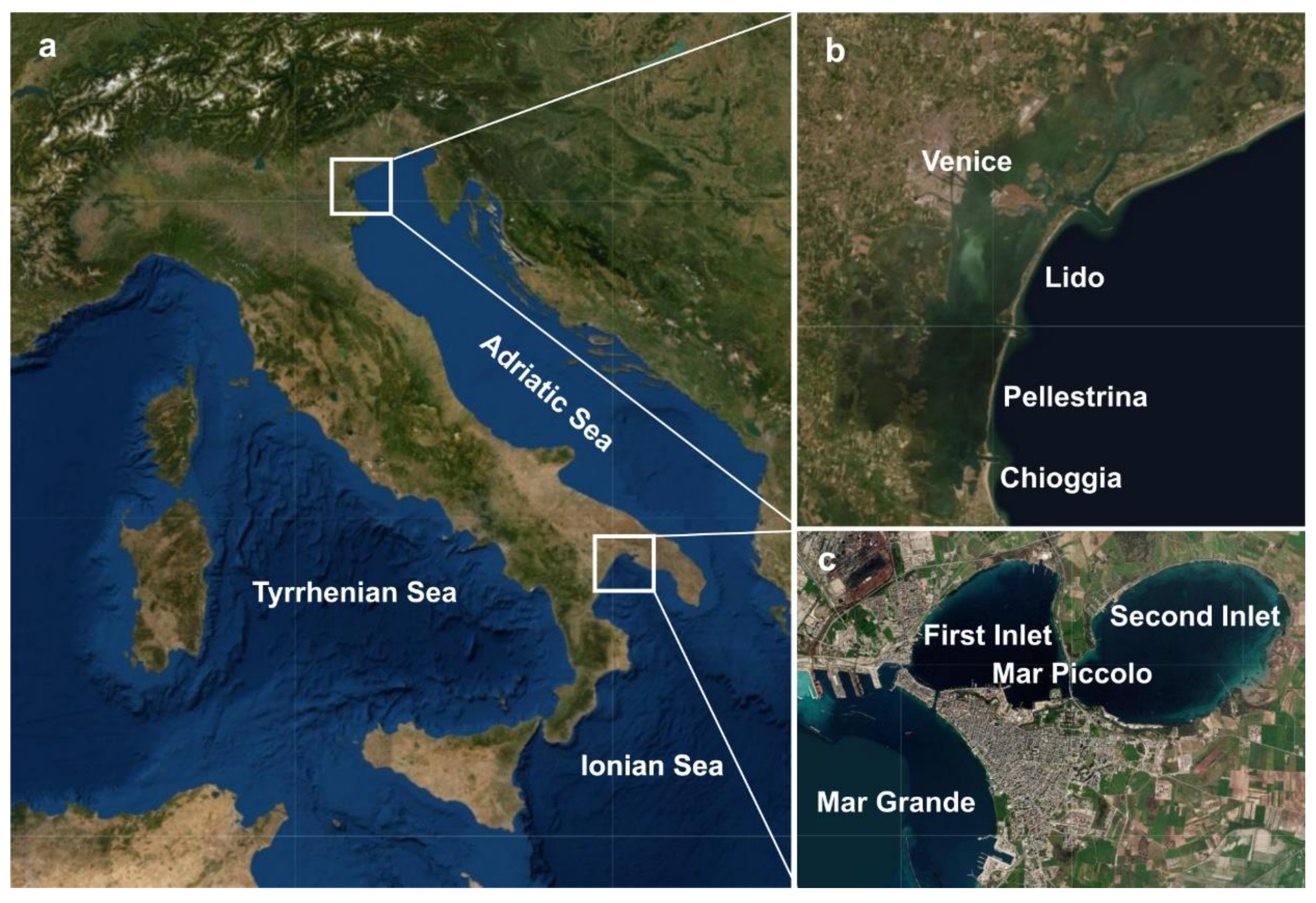 Diversity 12 00129 g001