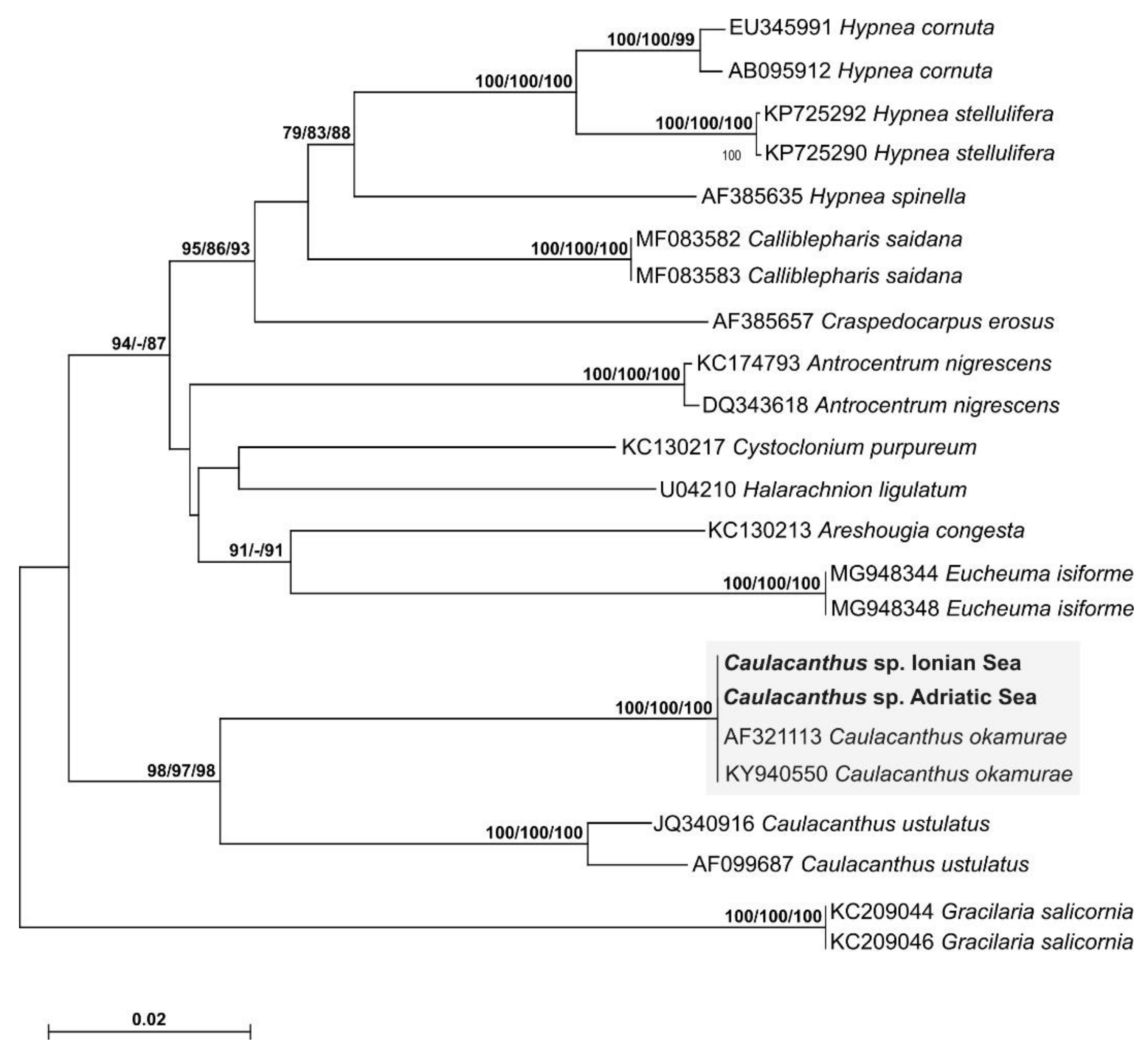 Diversity 12 00129 g002