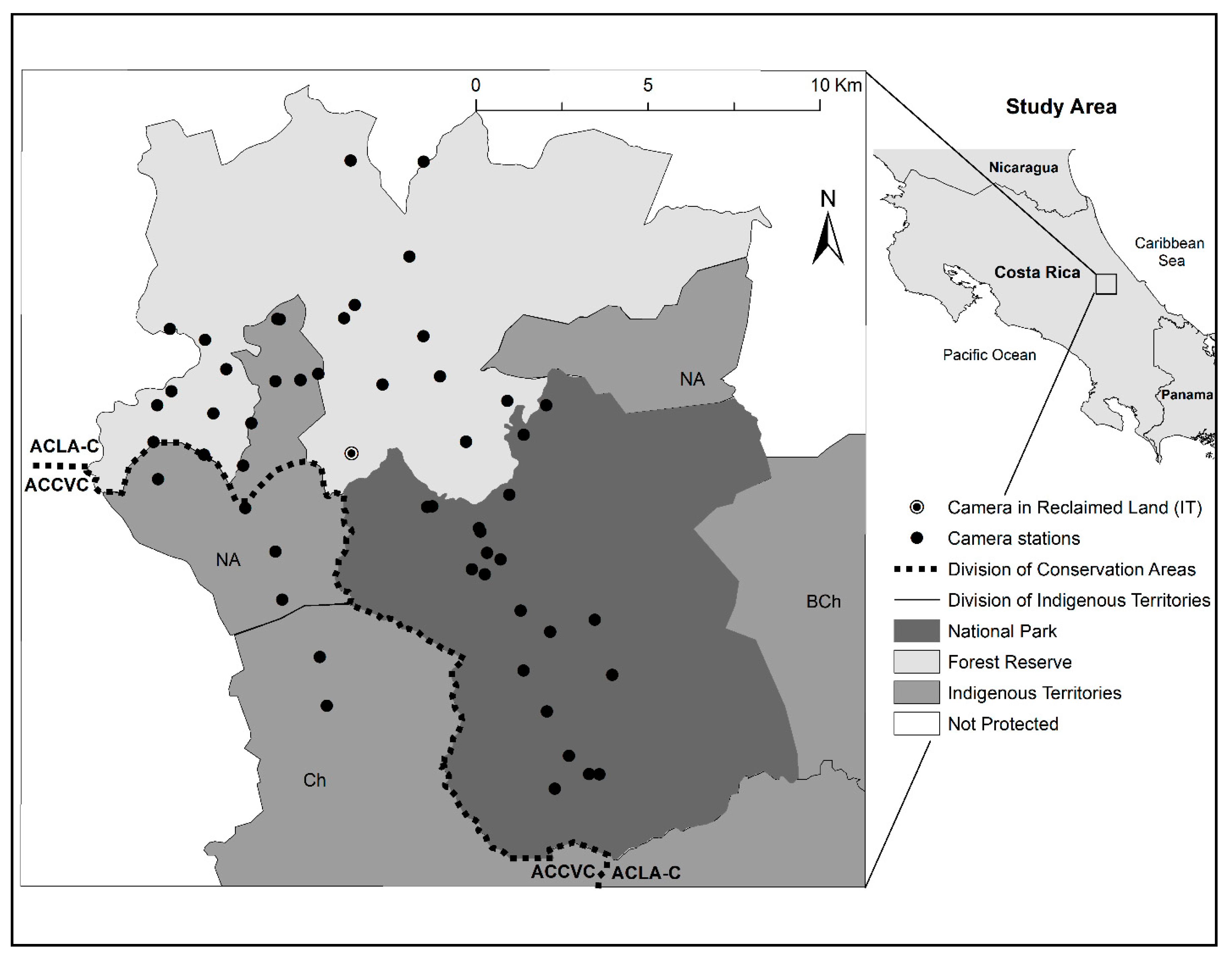 Diversity 12 00134 g001