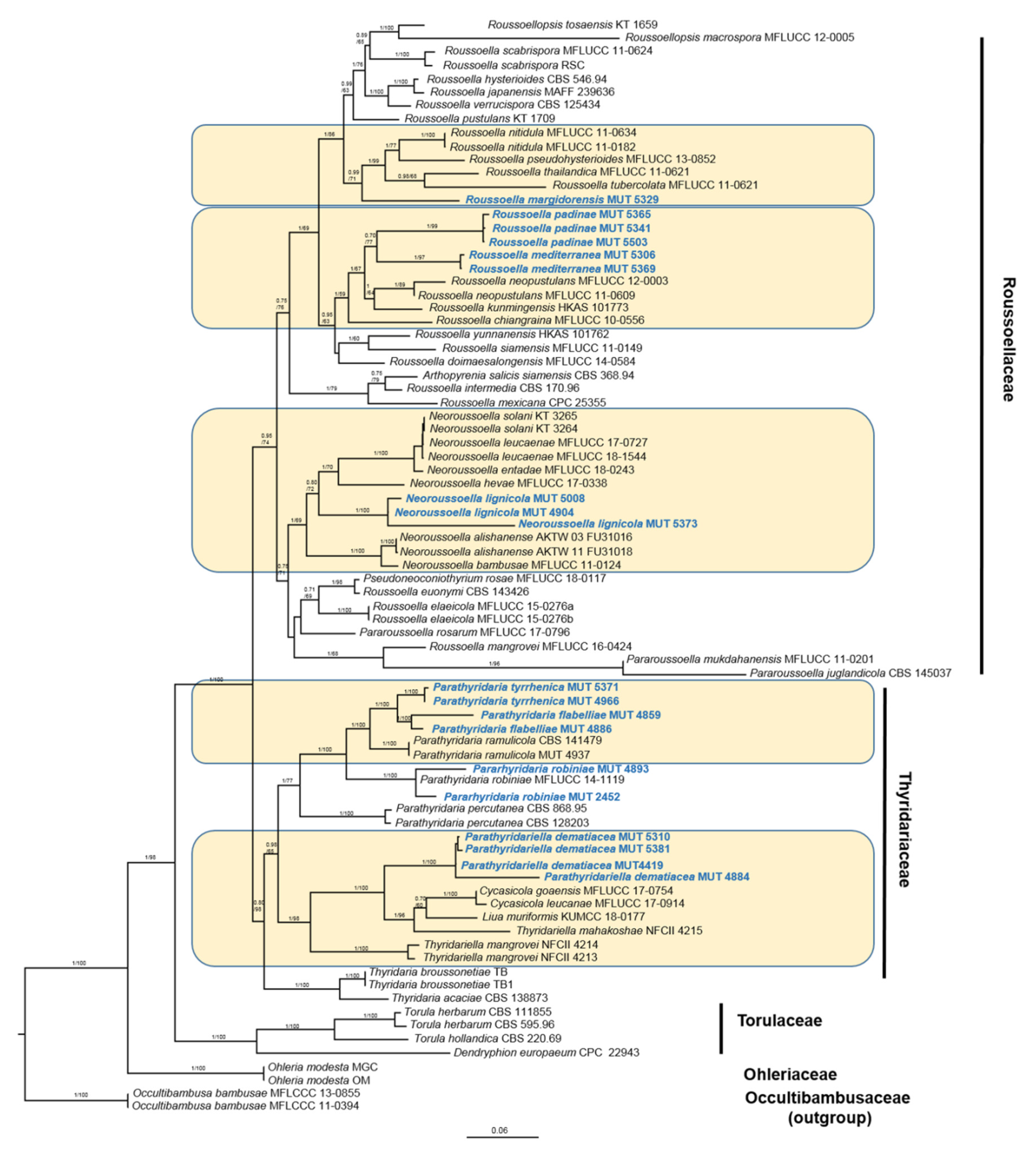 Diversity 12 00144 g001