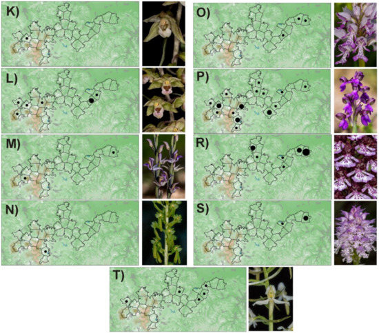 Diversity 12 00154 g0a1b