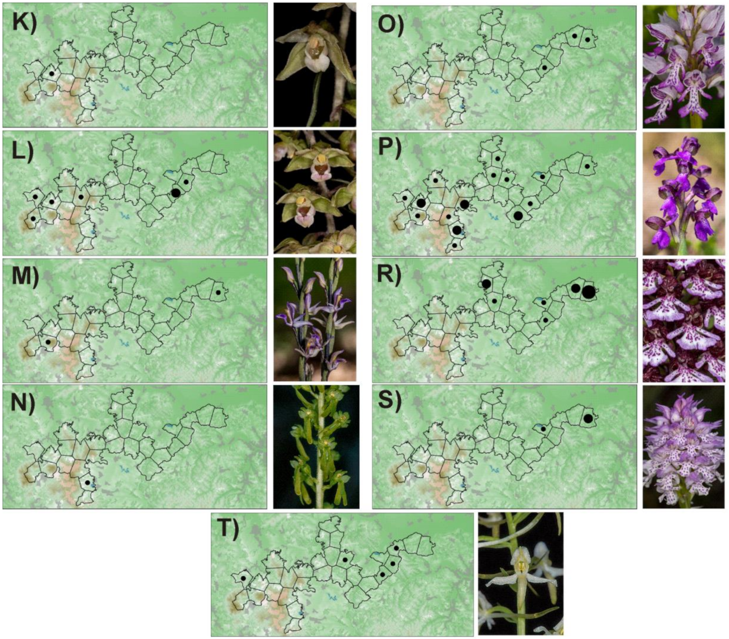 Diversity 12 00154 g0a1b Diversity 12 00154 g0a1b