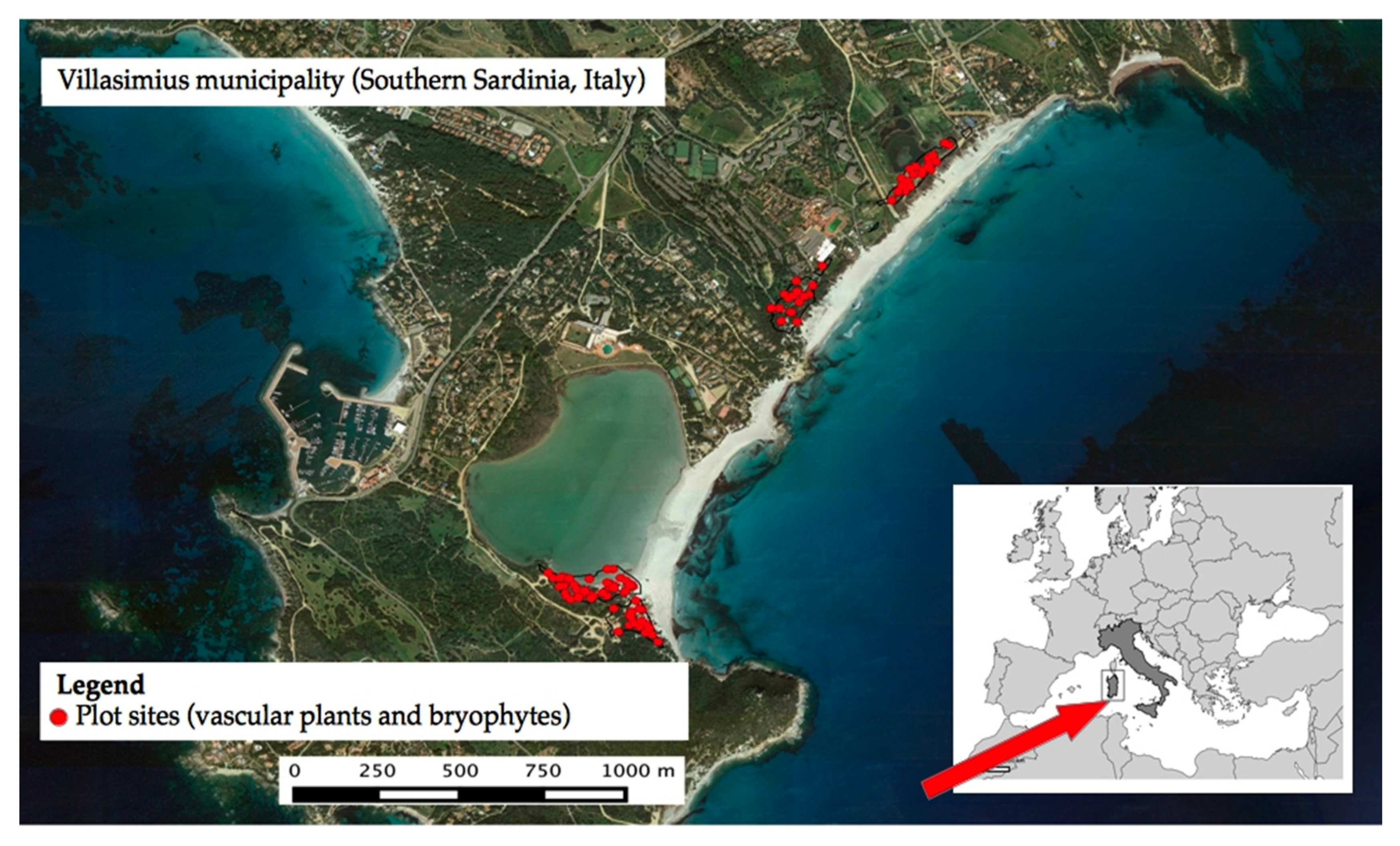 Diversity 12 00160 g001