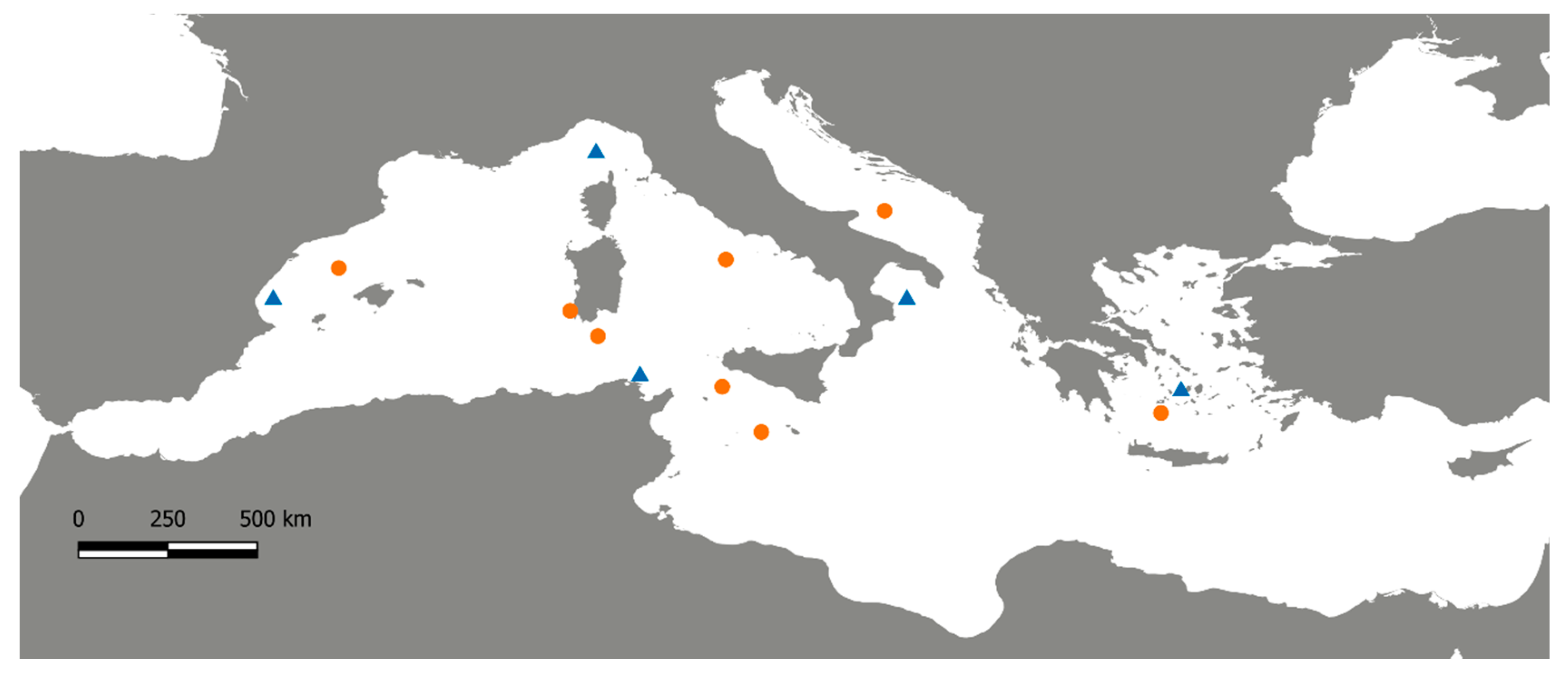 Diversity 12 00170 g001
