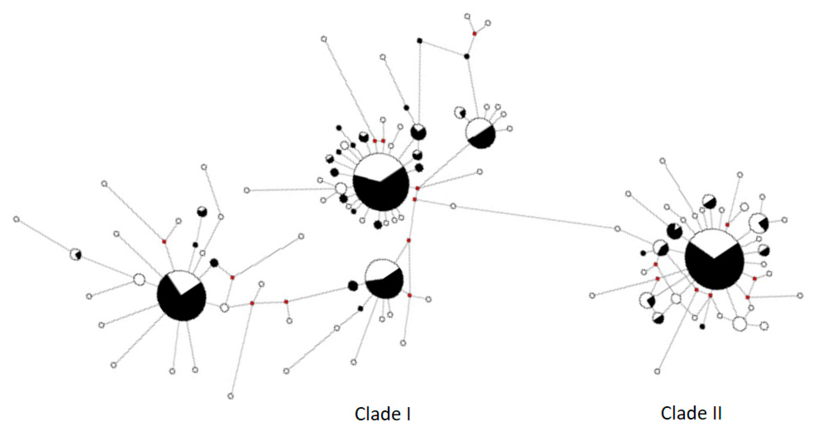 Diversity 12 00170 g002