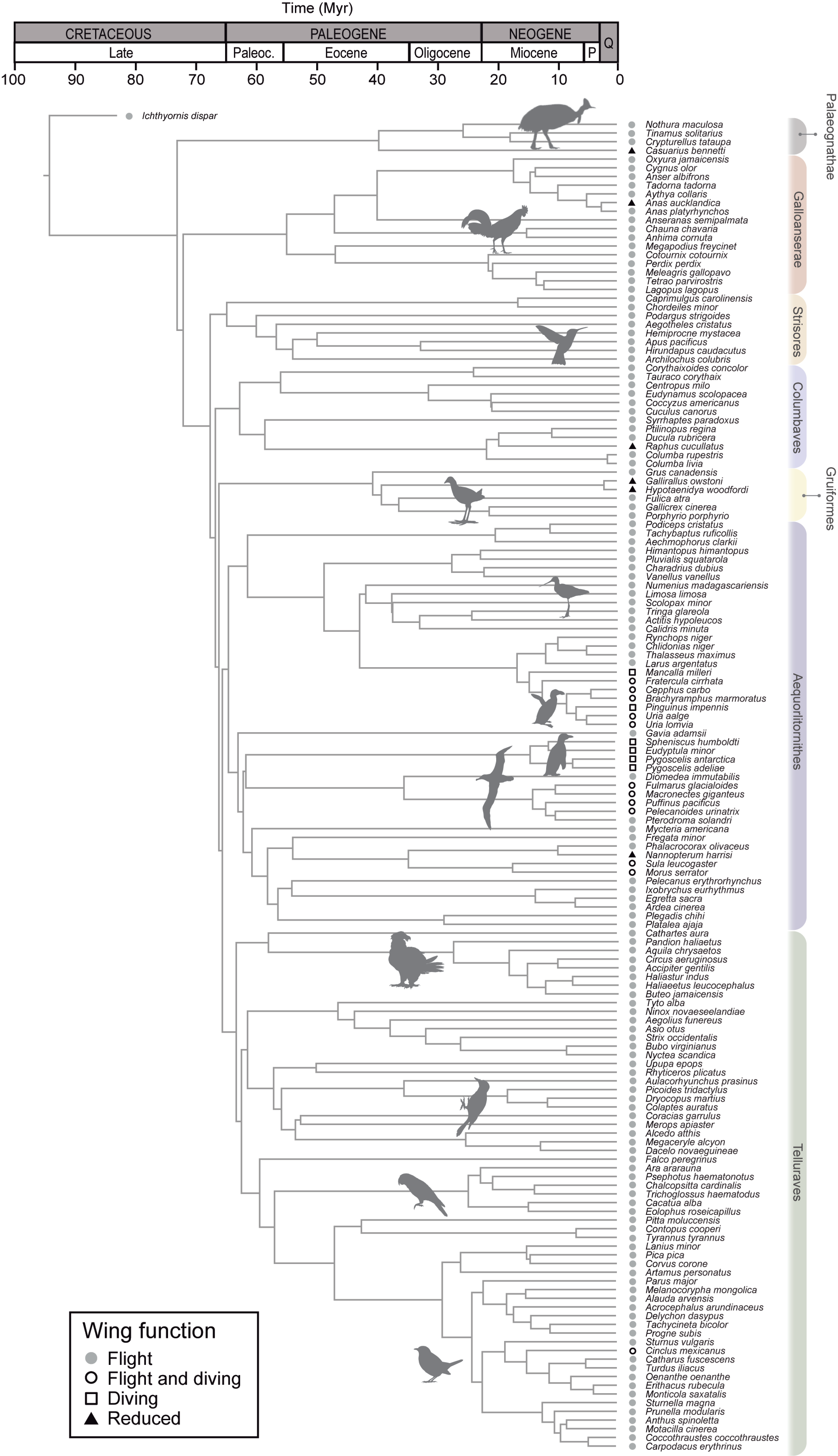 Diversity 12 00173 g002