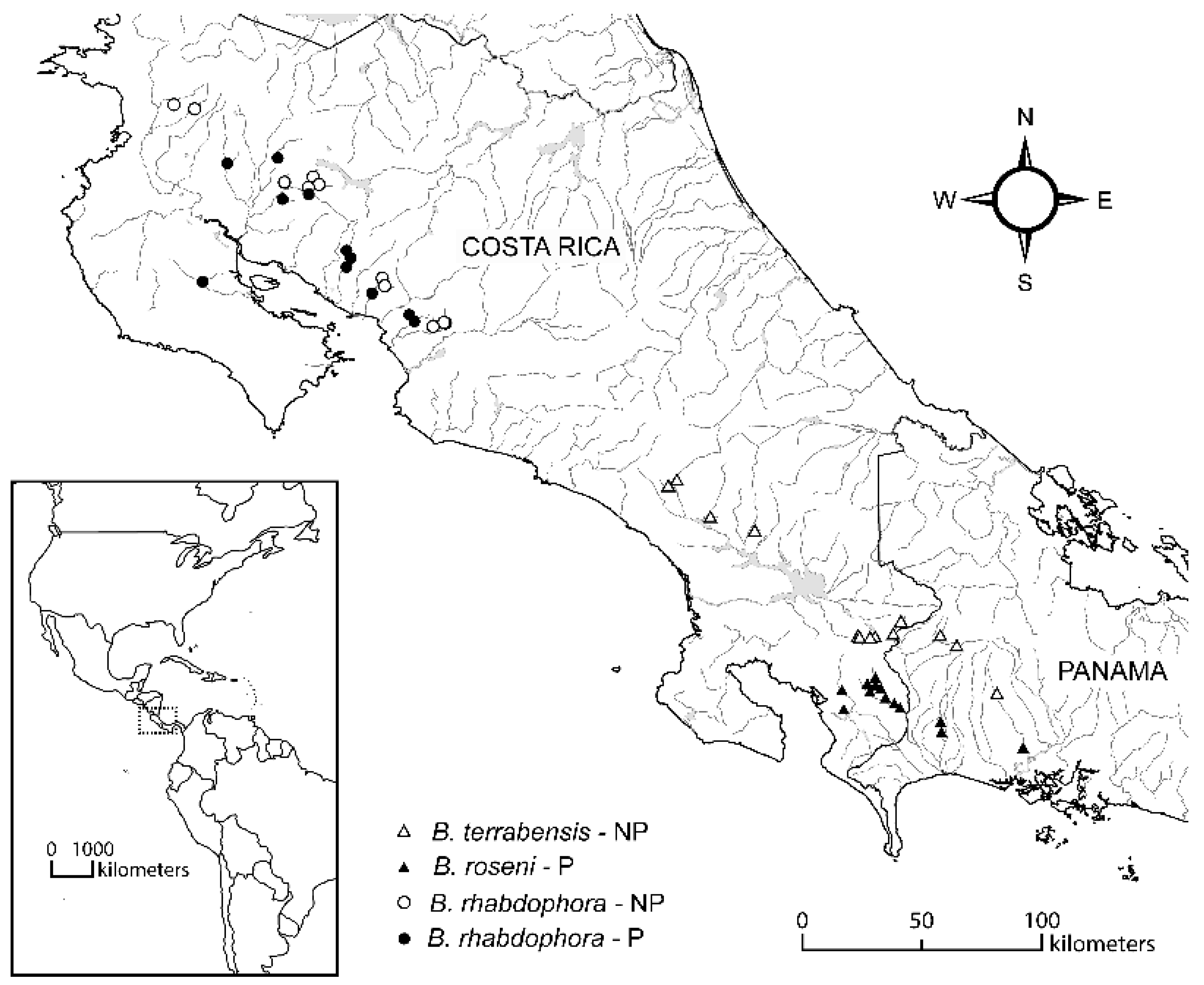 Diversity 12 00179 g001